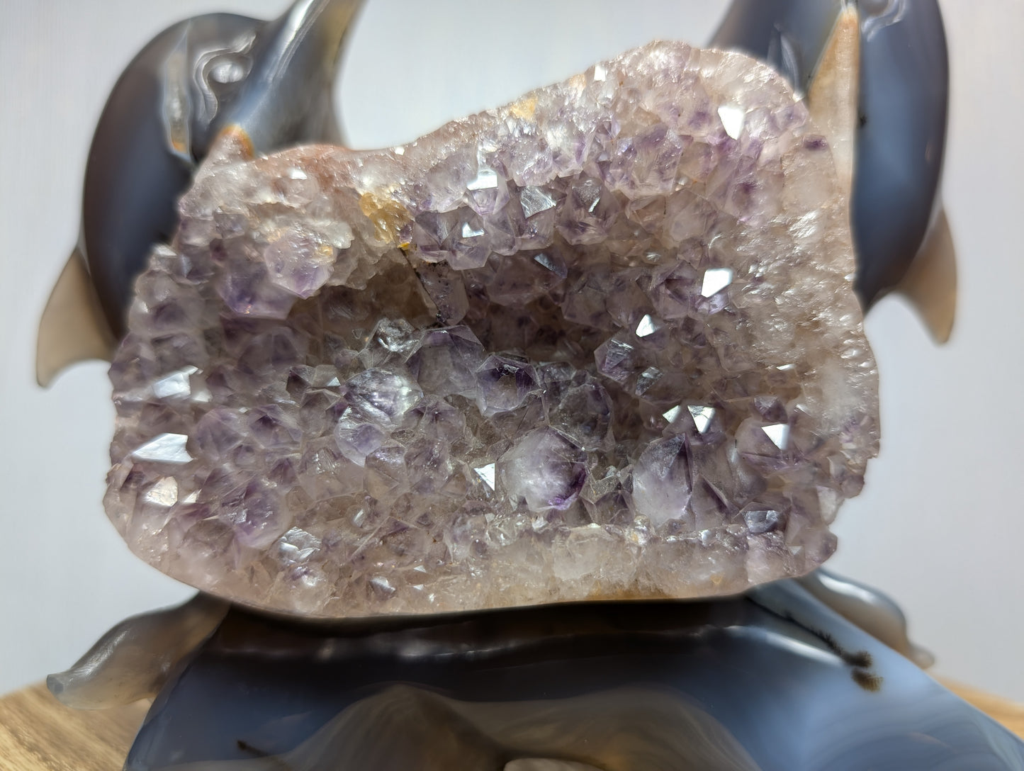 Druzy Agate Amethyst Dolphin Carving Z51