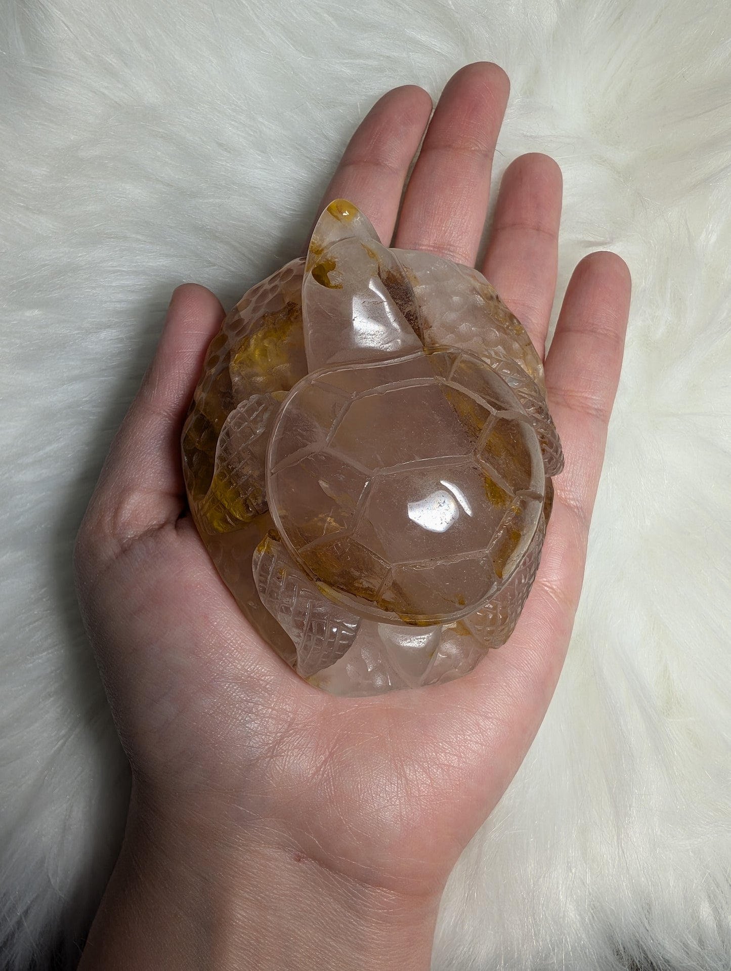 Golden Healer Fire Quartz Turtle w/ Star