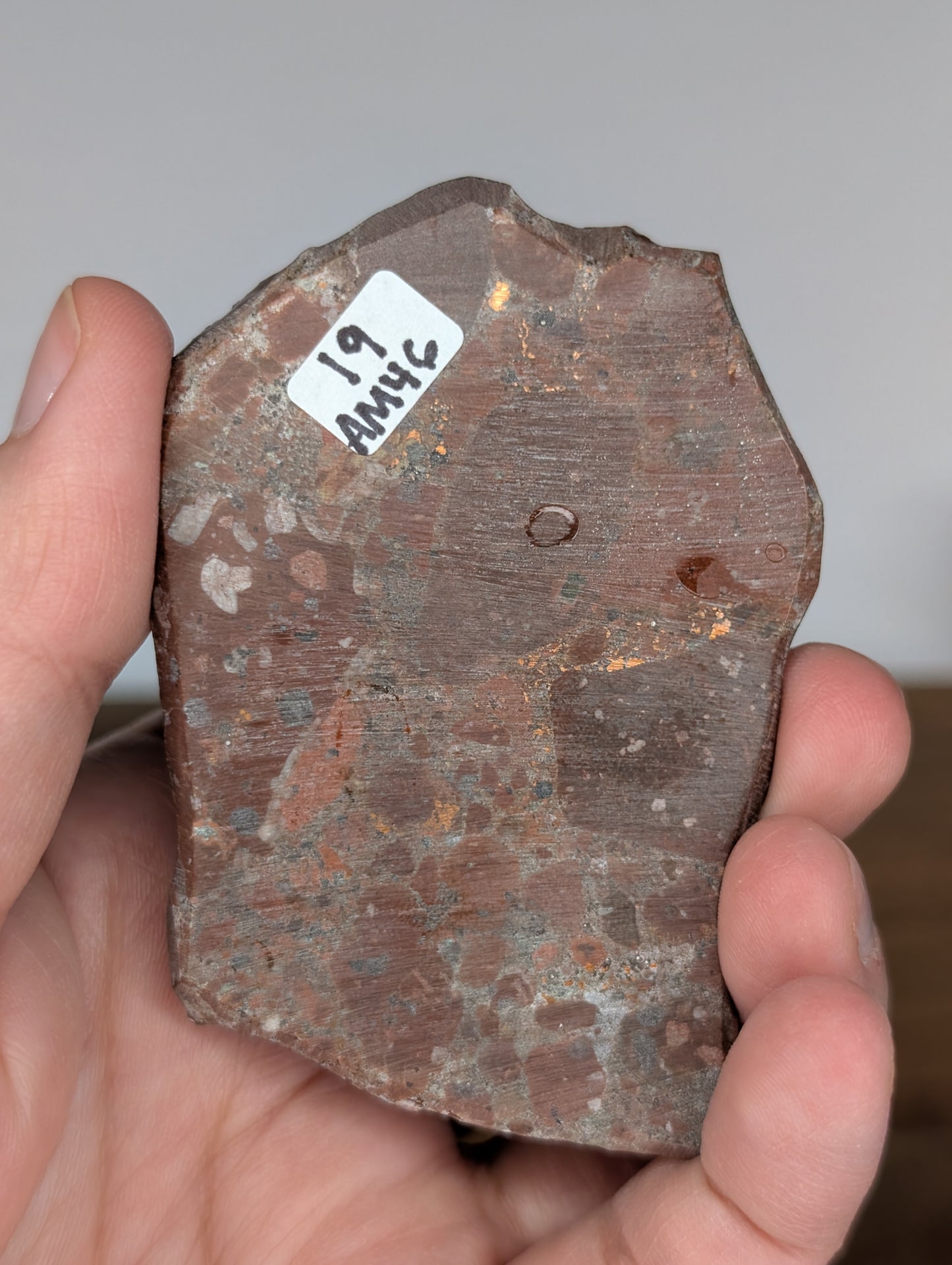 Resin Coated Copper Ore Slab (Michigan) (AM46)