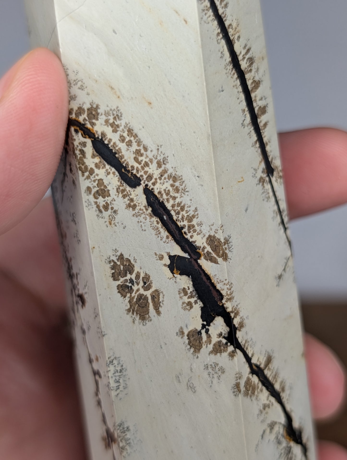 Picture Jasper Tower (AN81)