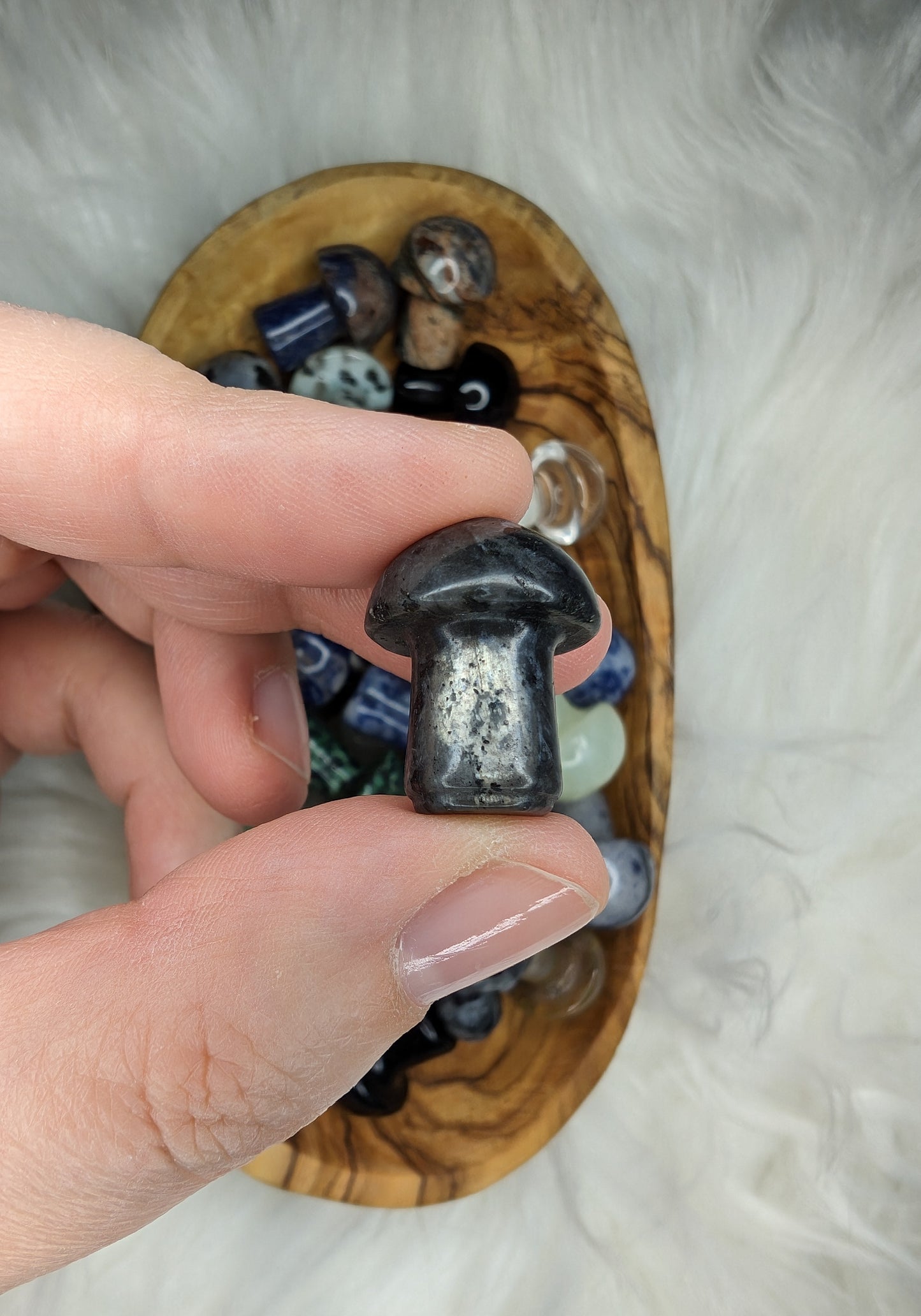 Mini Mushroom Carvings