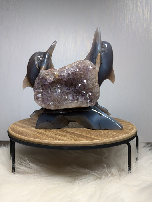 Druzy Agate Amethyst Dolphin Carving Z51
