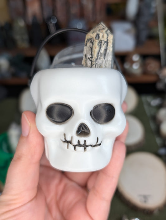 Bobert's Boockets ~ Skull