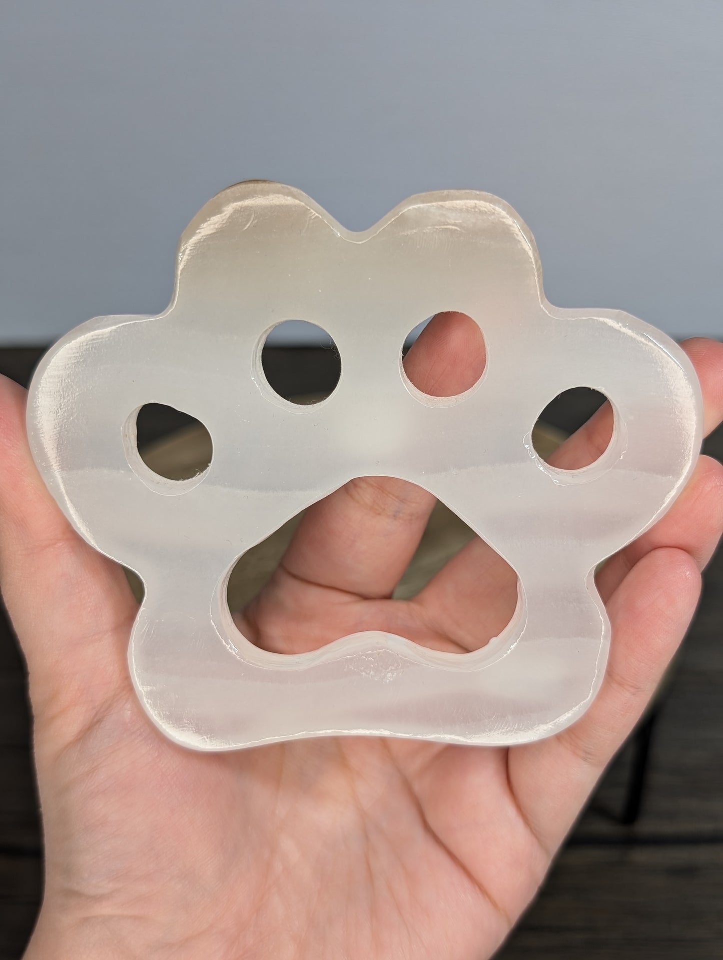 Mexican Calcite Bone & Paw Carving Bundle B