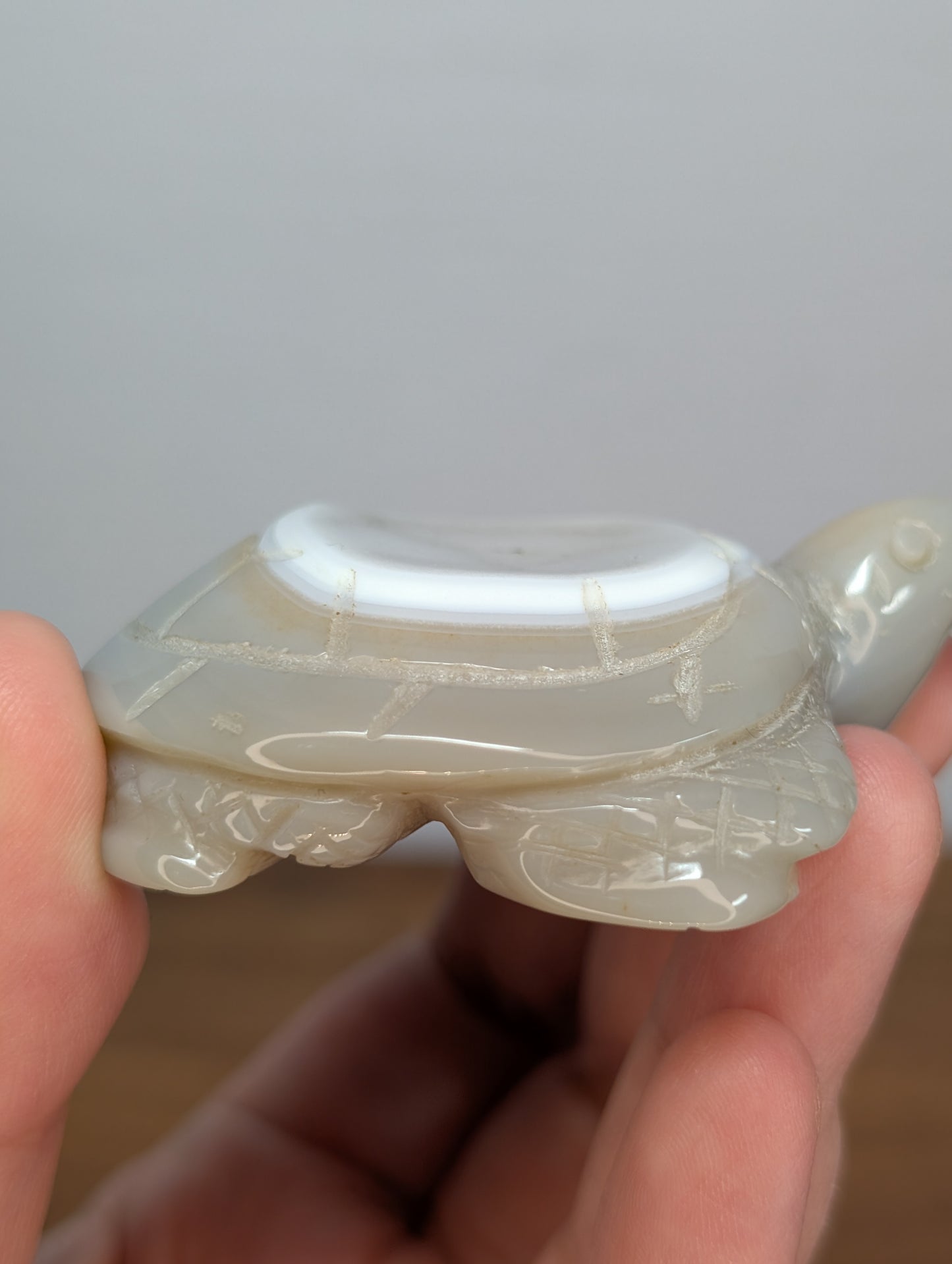 Agate Turtle Carving (BK35)