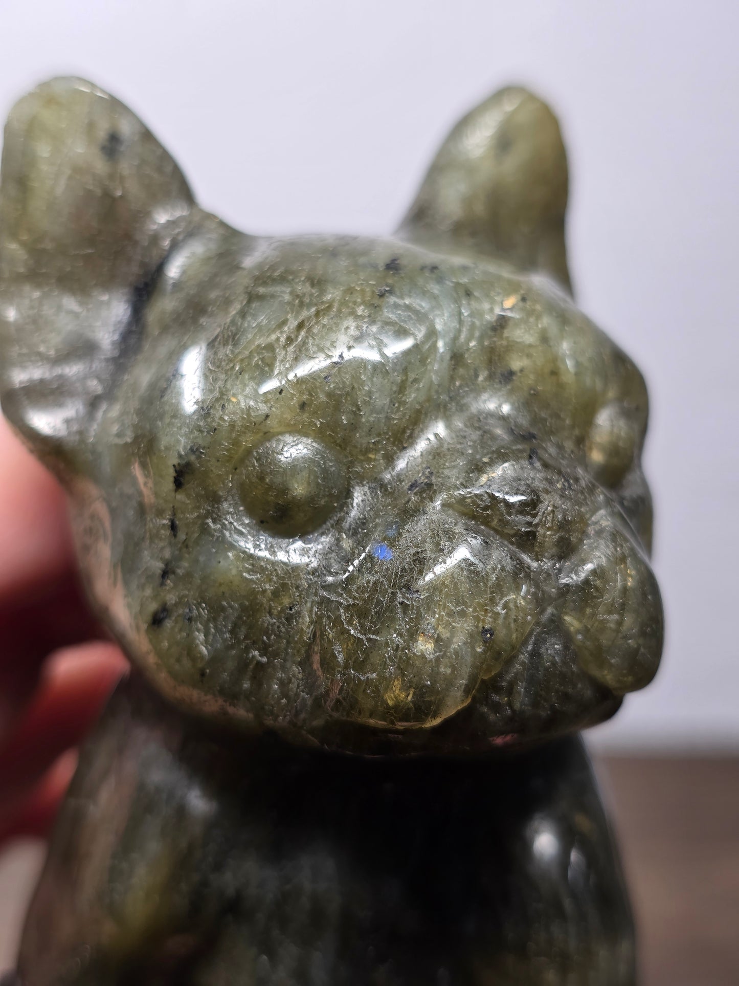 Labradorite Frenchie Carving