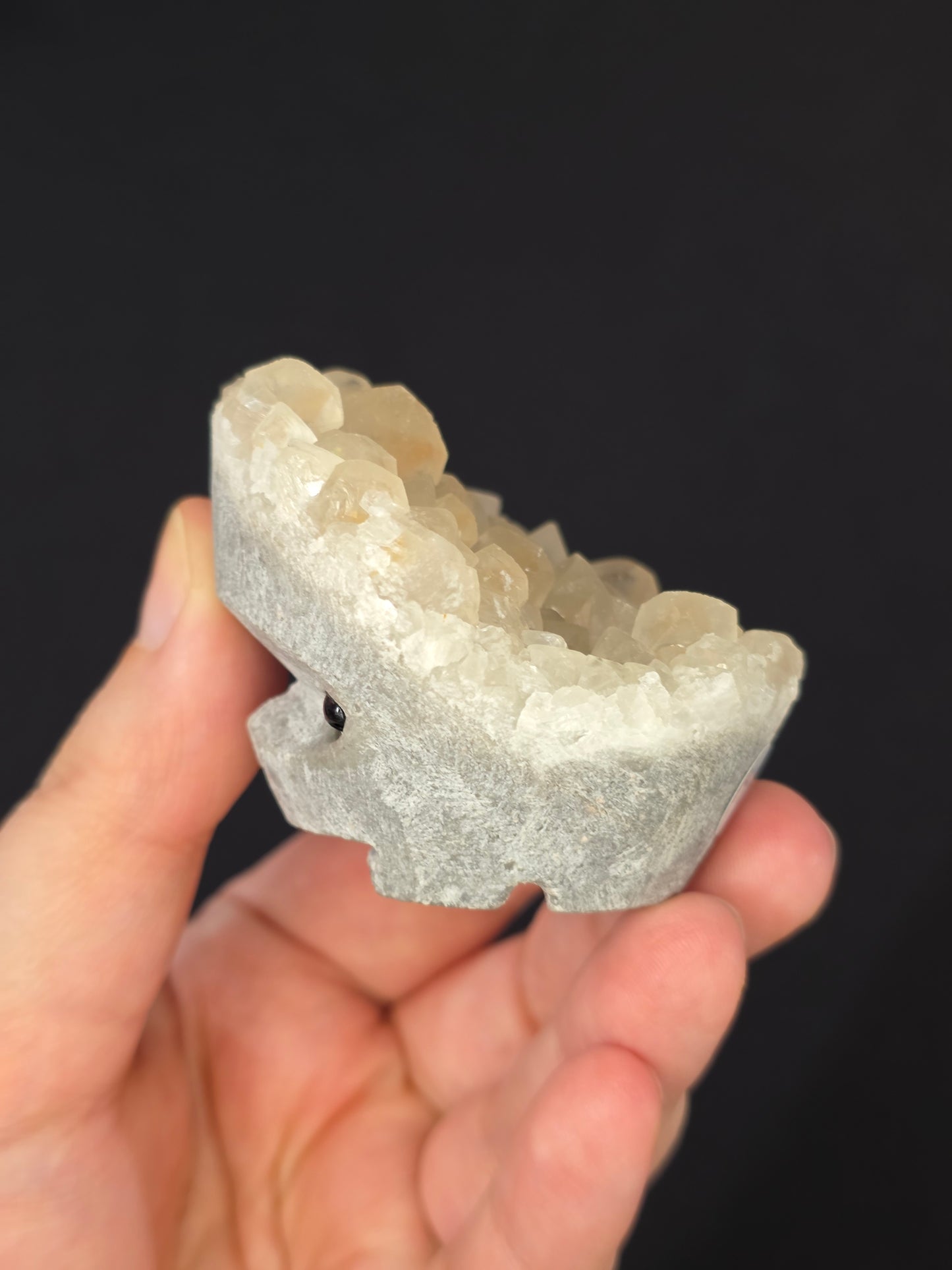 Pet Rock Hedgie Carving