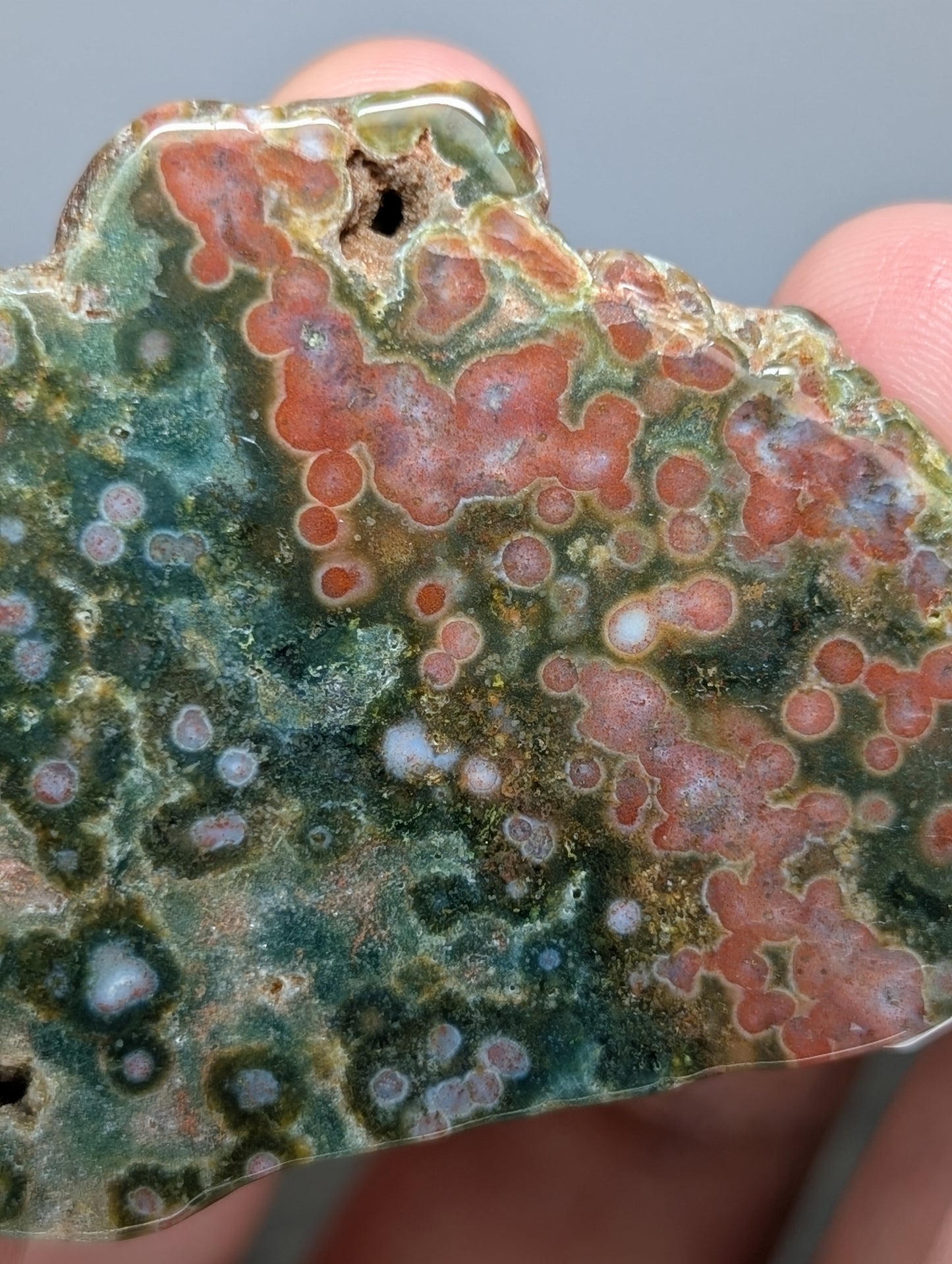 Orbicular Jasper Slab/Freeform
