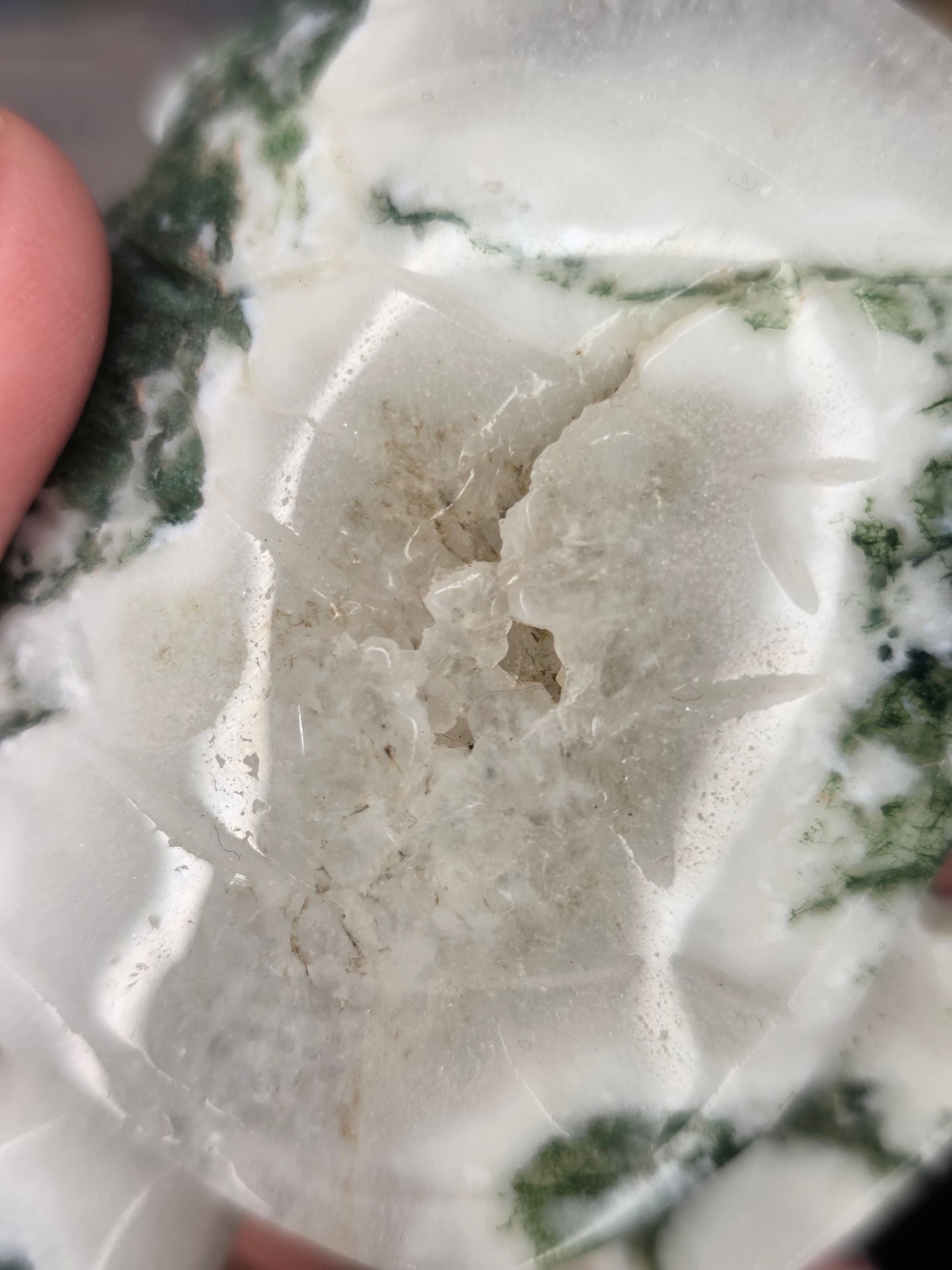 Moss Agate Sea Turtle Carving