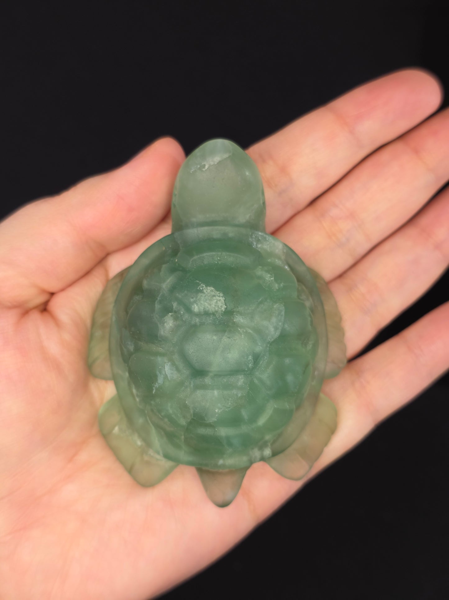 Green Fluorite Turtle Carving