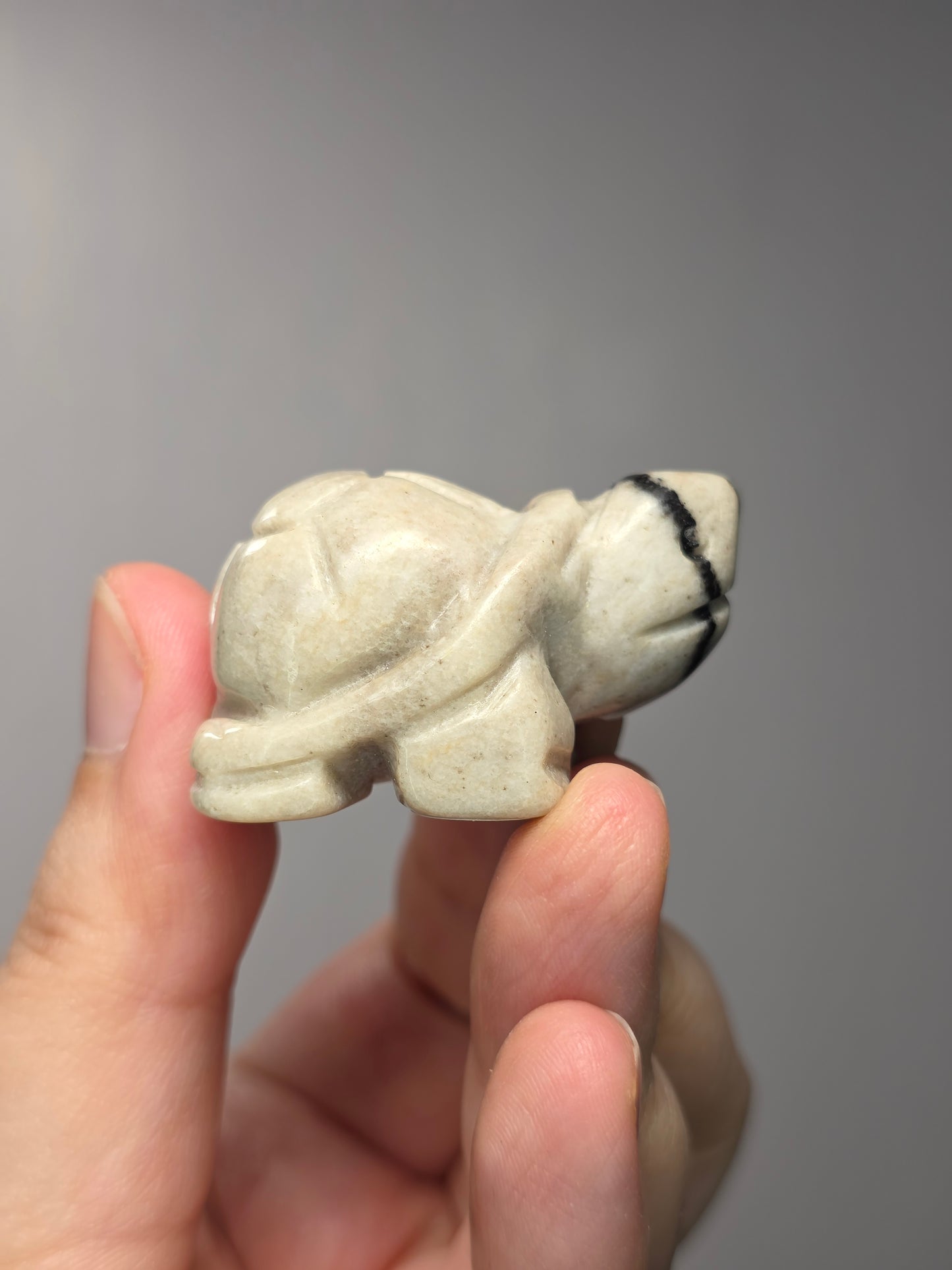Spiderweb Jasper Turtle Carving