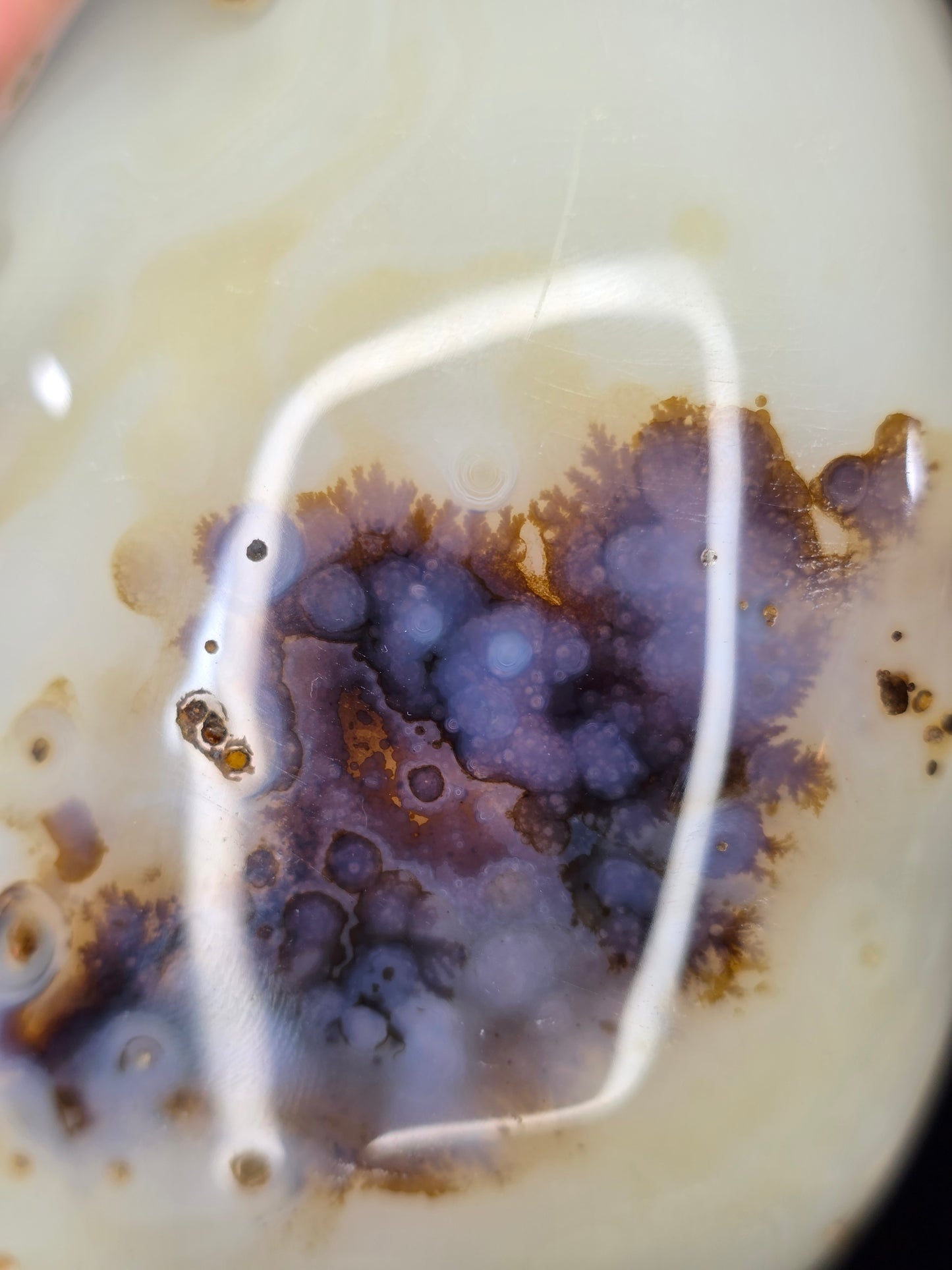 Dendritic Agate Freeform