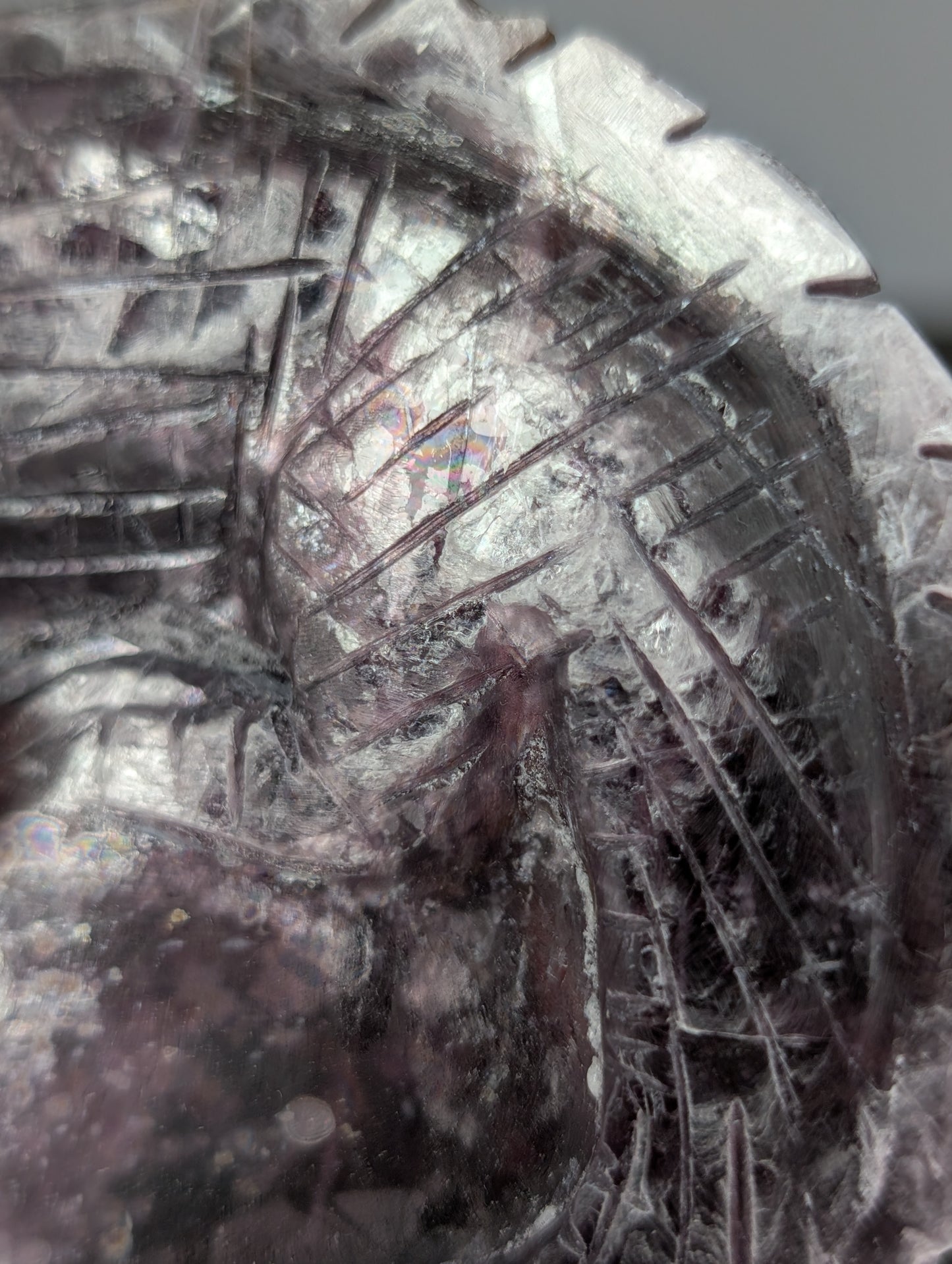 Gem Lepidolite Lizard Carving (BT35)