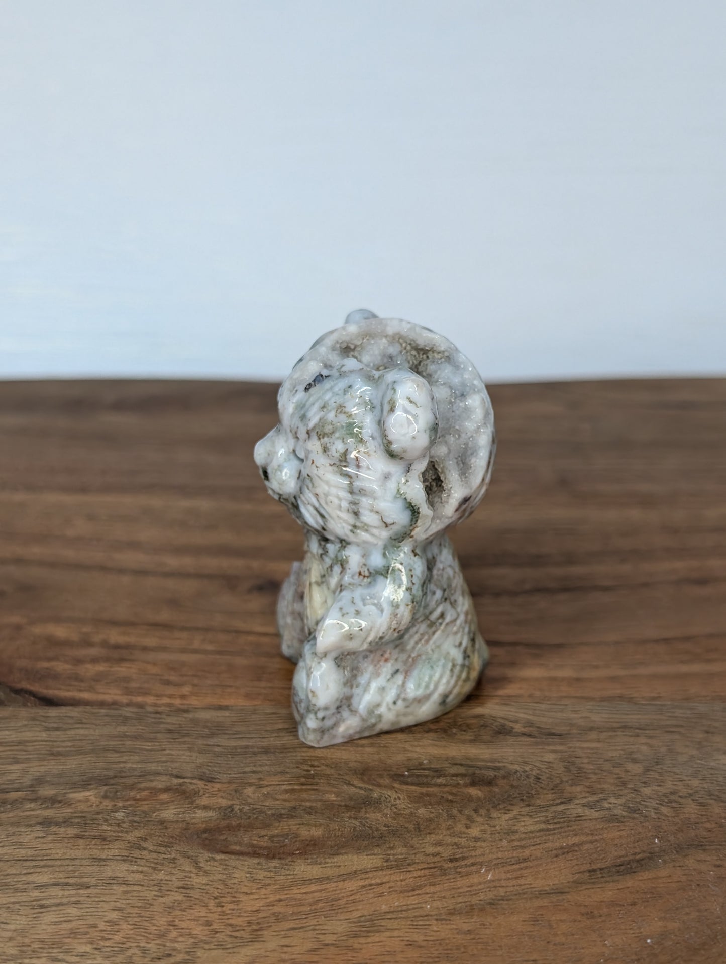 Druzy Sea Jasper Teddy Bear Carving (R18)