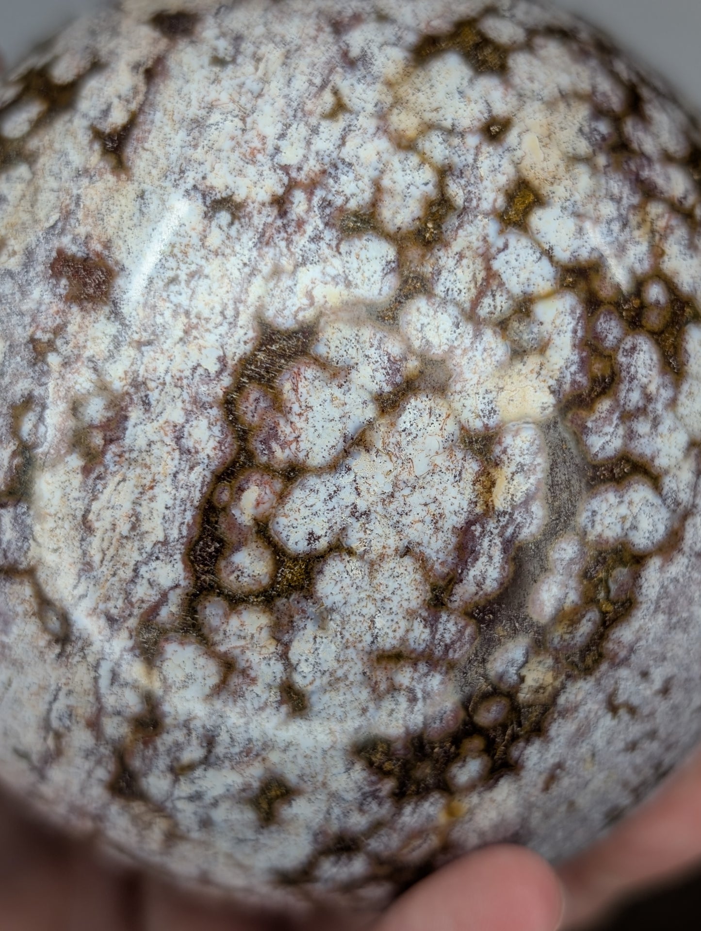 Orbicular Sea Jasper Sphere (BQ21)