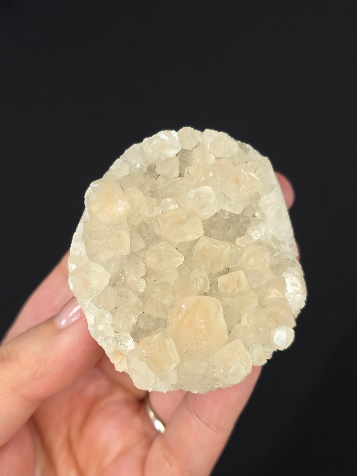 Pet Rock Hedgie Carving