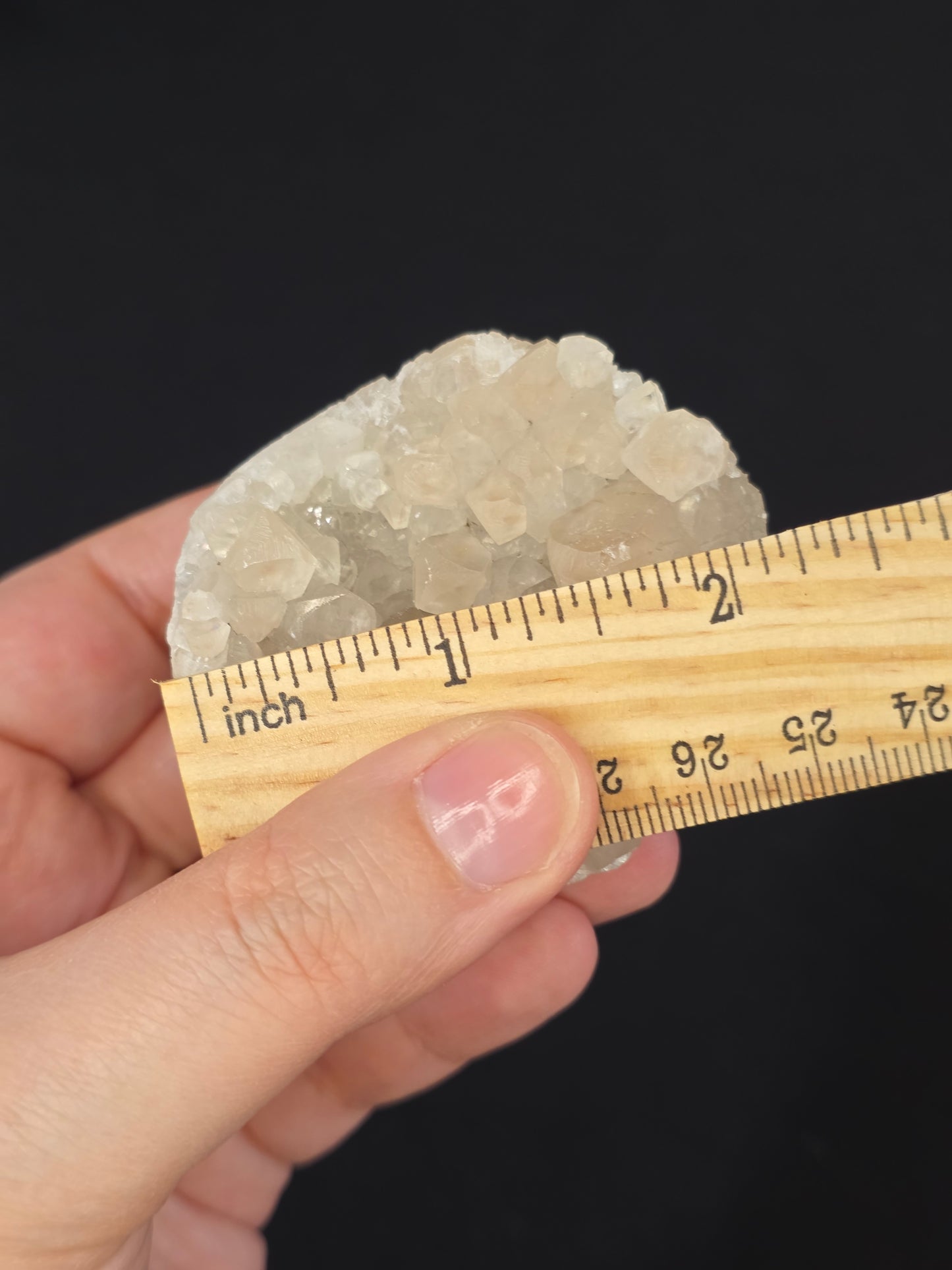 Pet Rock Hedgie Carving