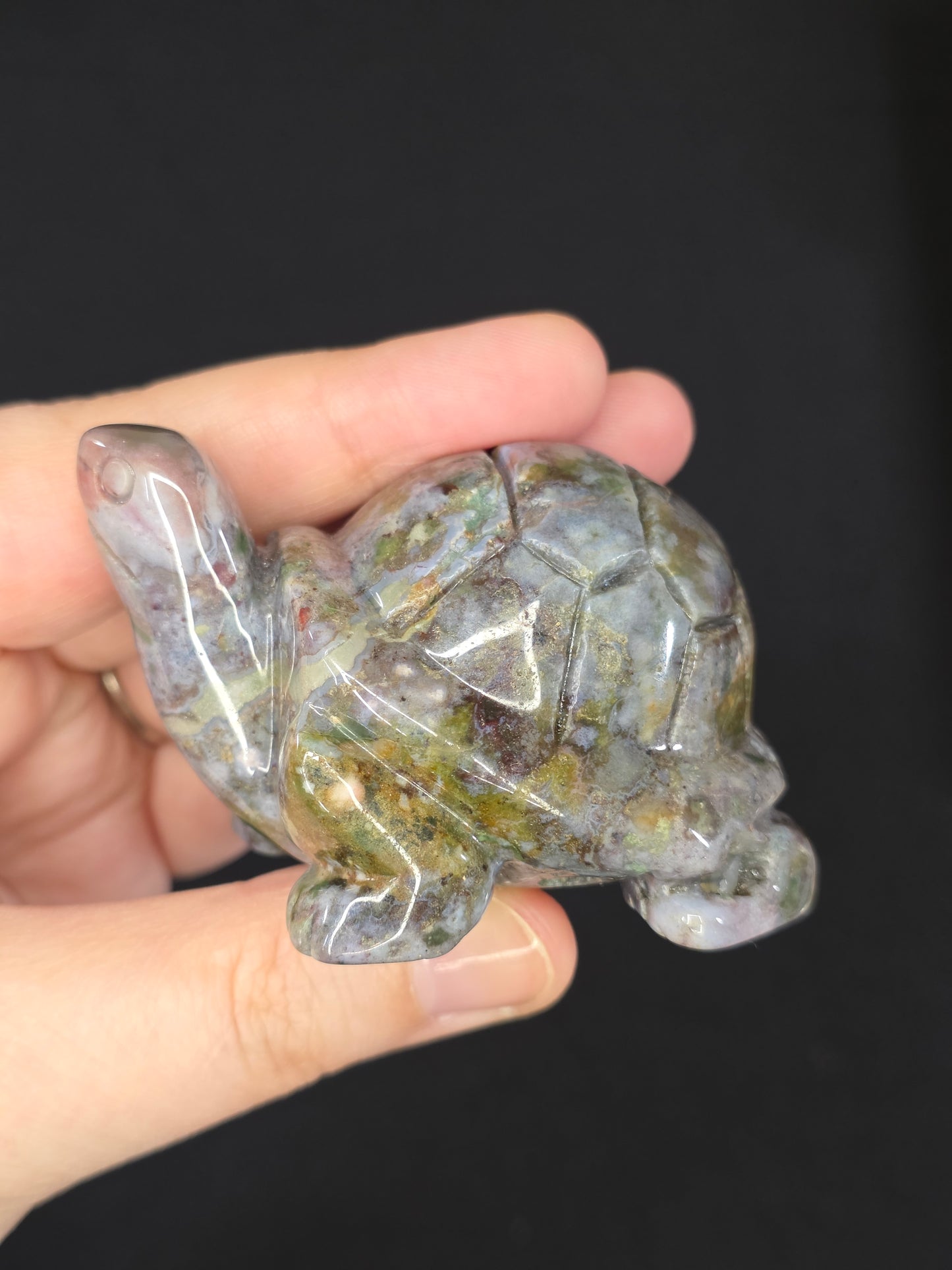 Sea Jasper Turtle Carving