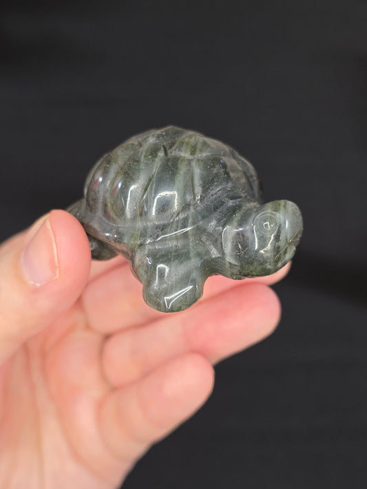Labradorite Turtle Carving