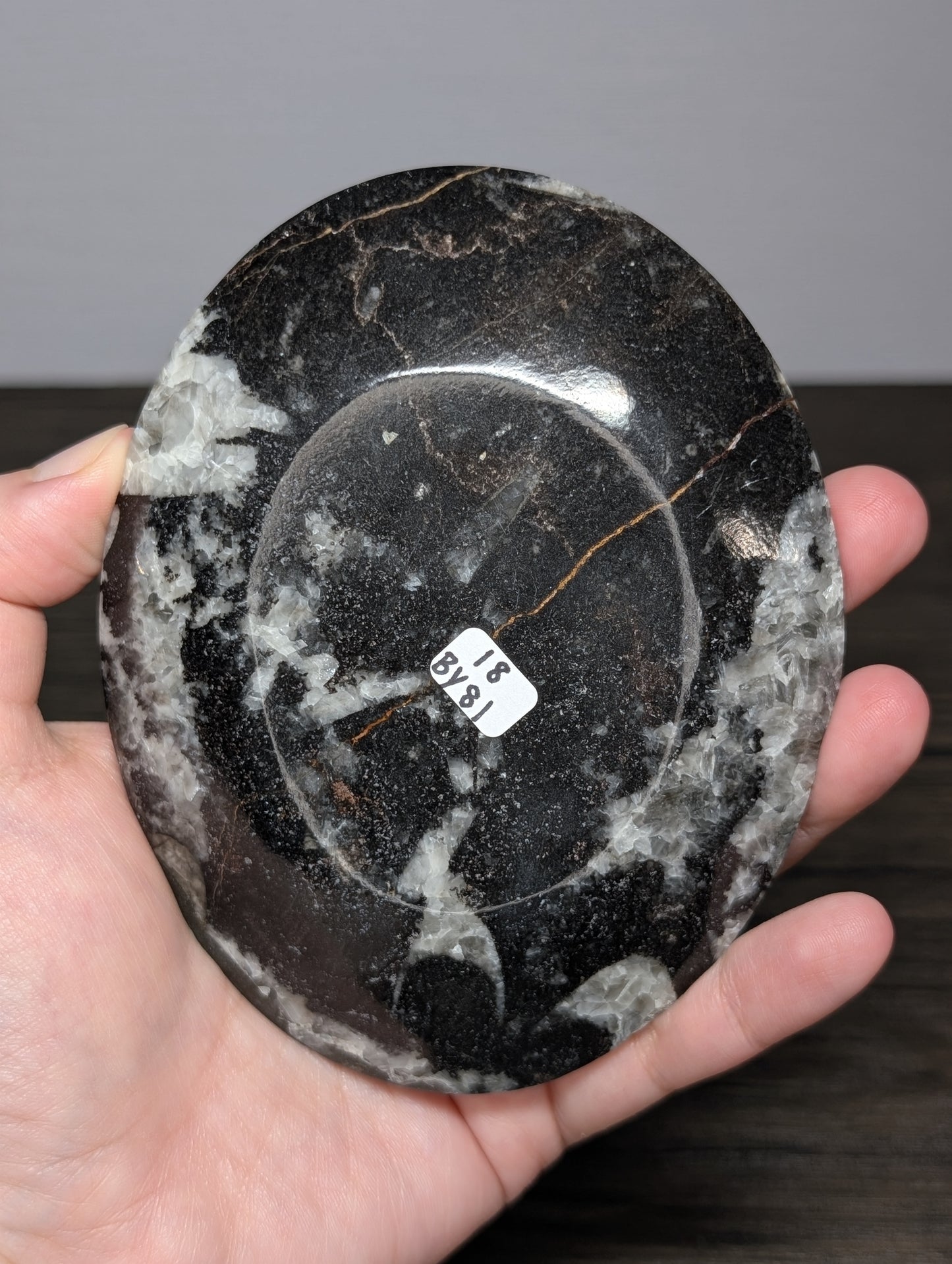 Orthoseras Bowl