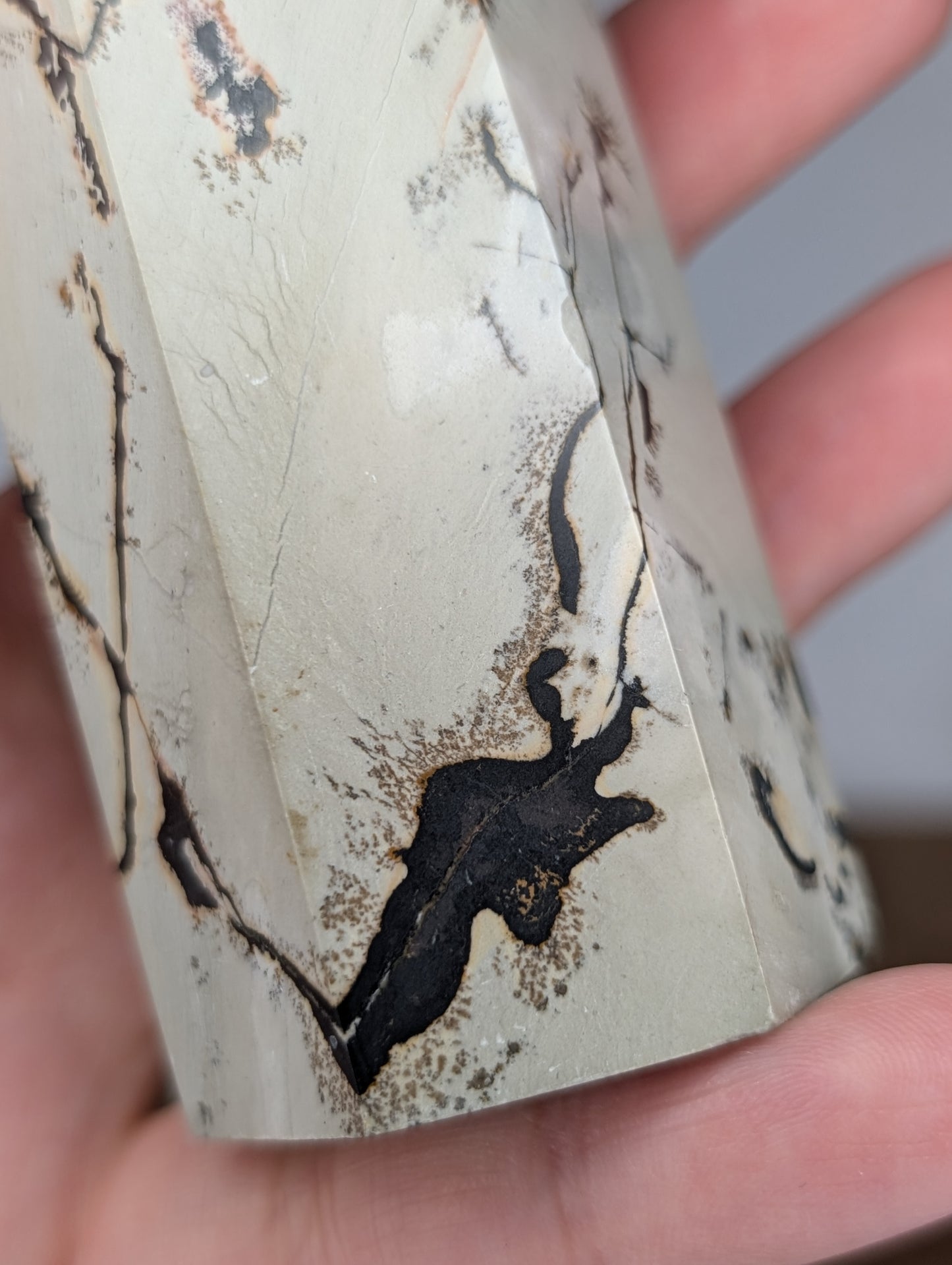 Picture Jasper Tower (AN81)