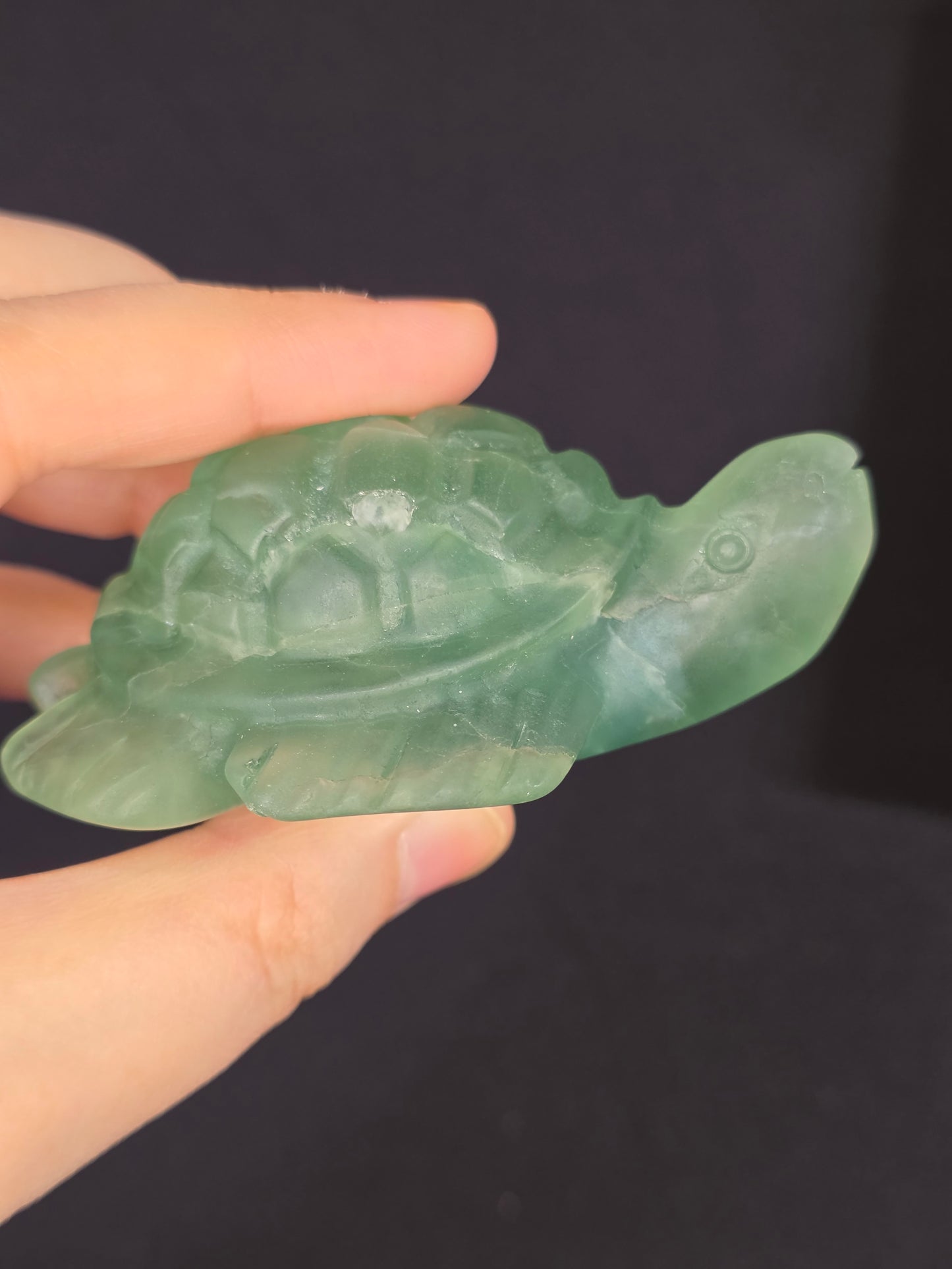 Green Fluorite Turtle Carving