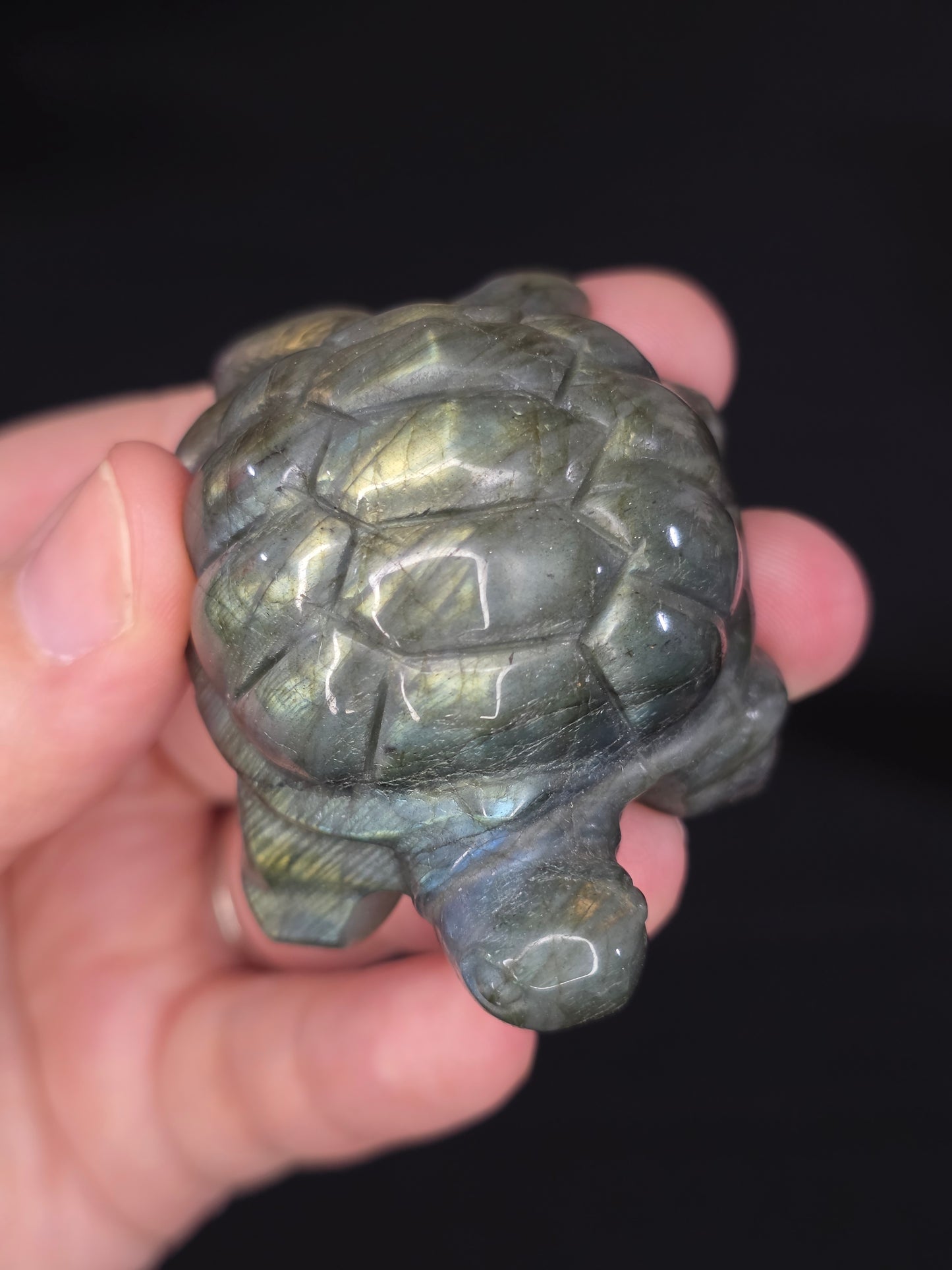 Labradorite Turtle Carving