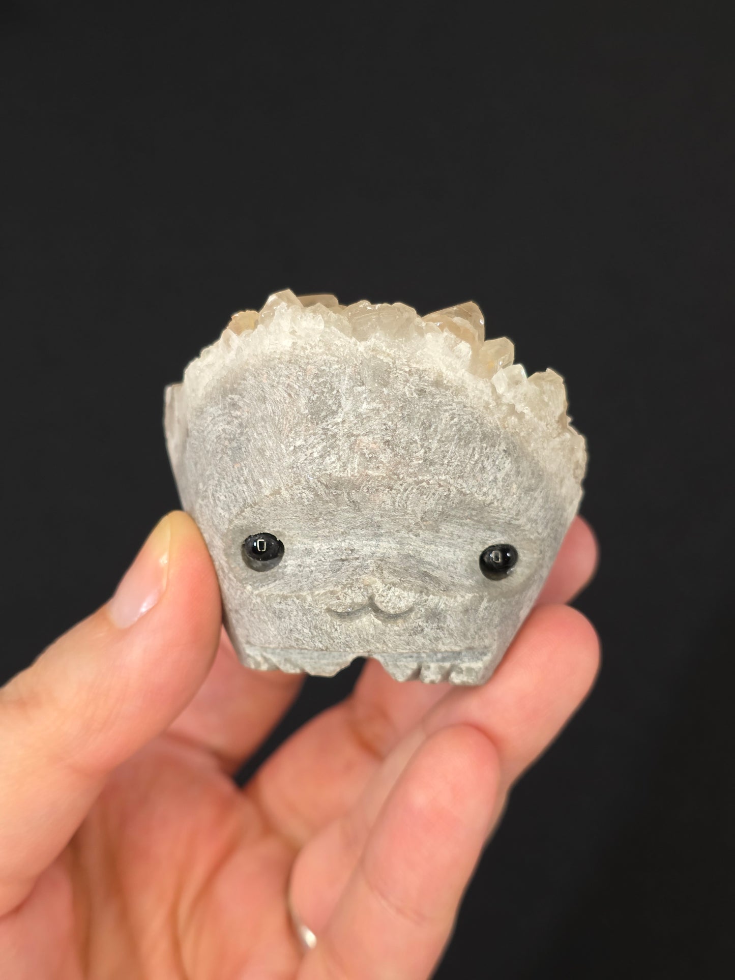 Pet Rock Hedgie Carving