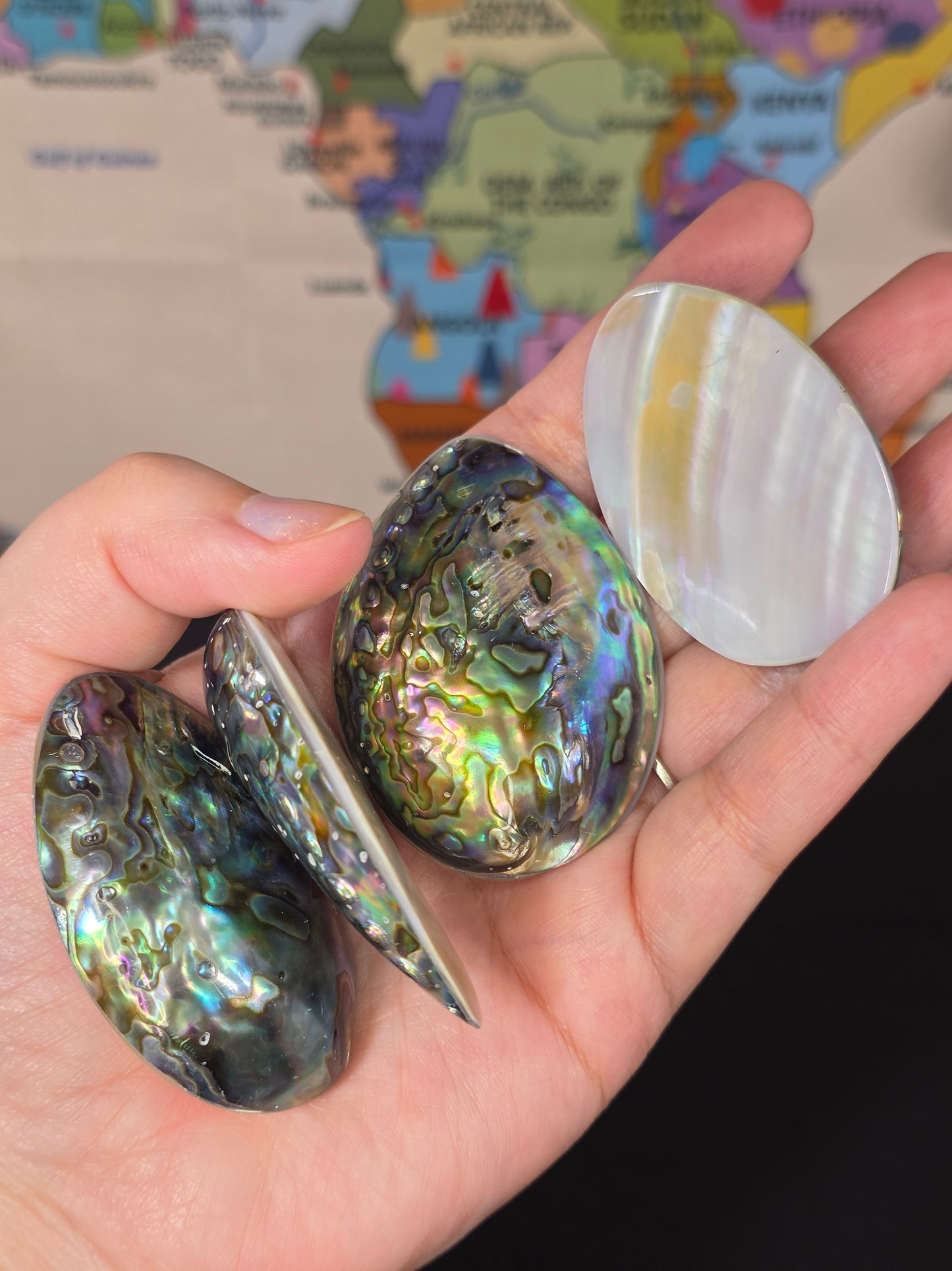 Abalone Shell x Mother of Pearl Palm Stone