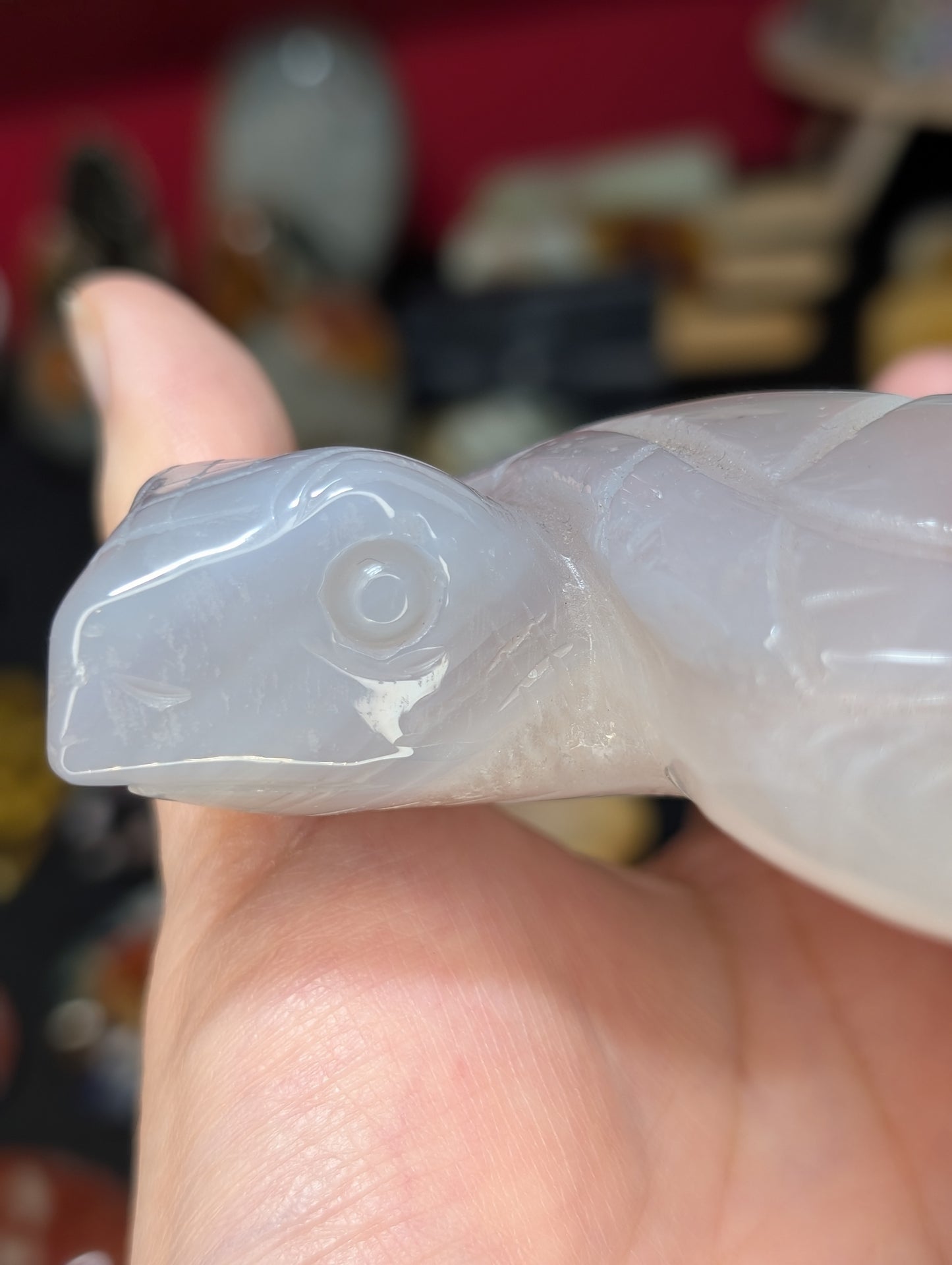 XL Druzy Agate Turtle Carving
