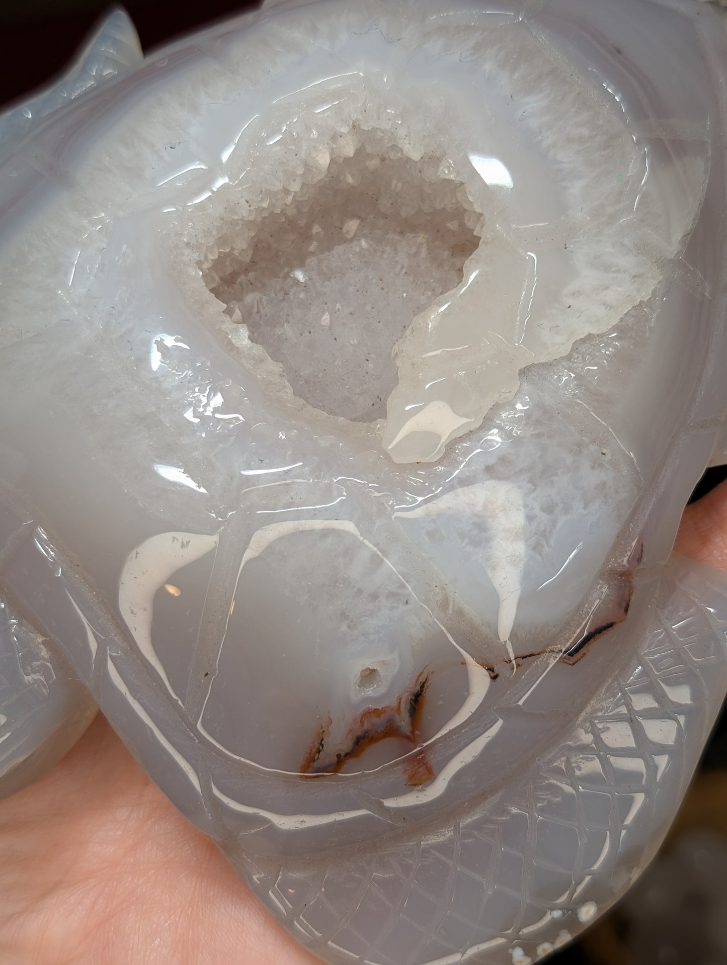 XL Druzy Agate Turtle Carving