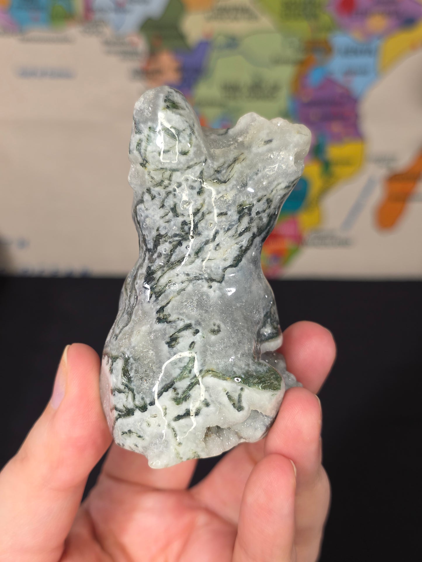 Druzy Moss Agate Frenchie Carving