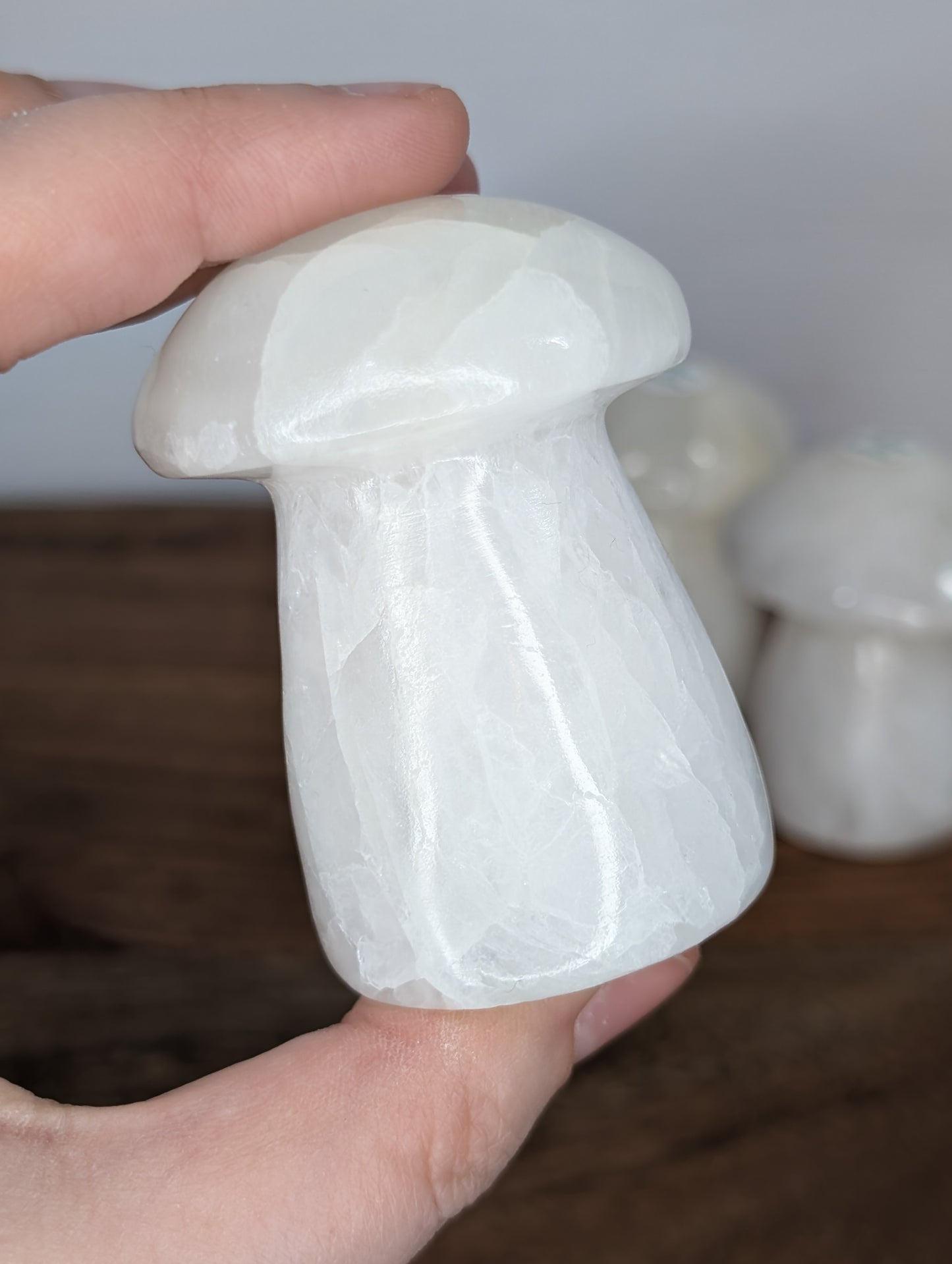 Mexican Onyx/Calcite Mushroom Carving (AJ47)