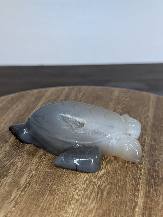 Druzy Agate Turtle Carving (X41)