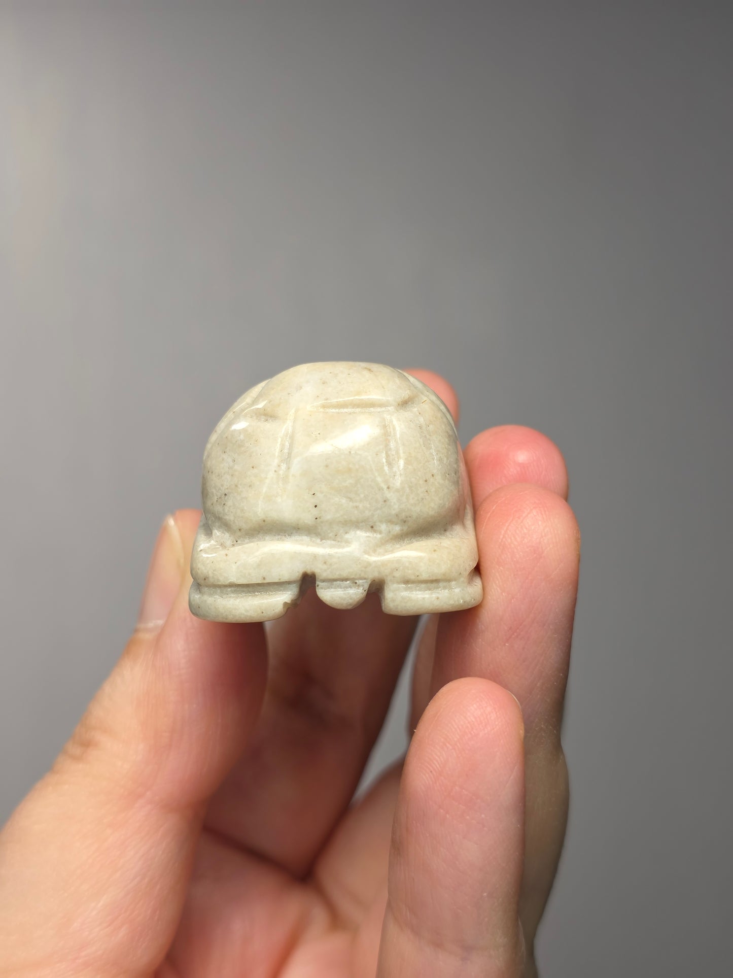 Spiderweb Jasper Turtle Carving