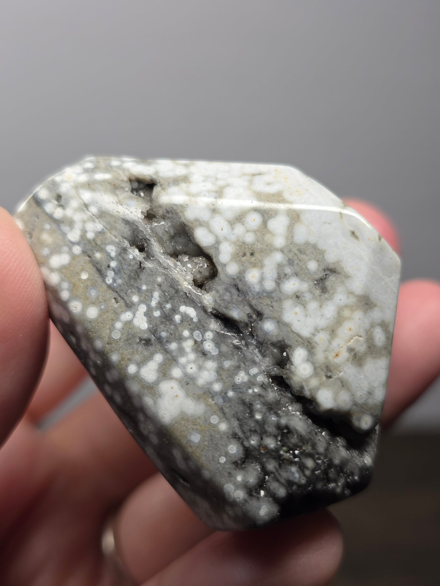 Orbicular Jasper Freeform