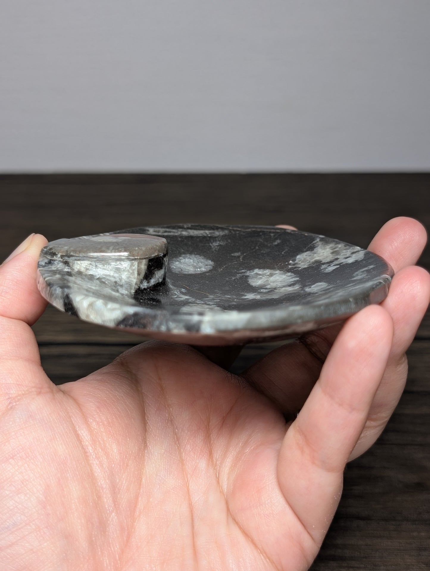 Orthoseras Bowl