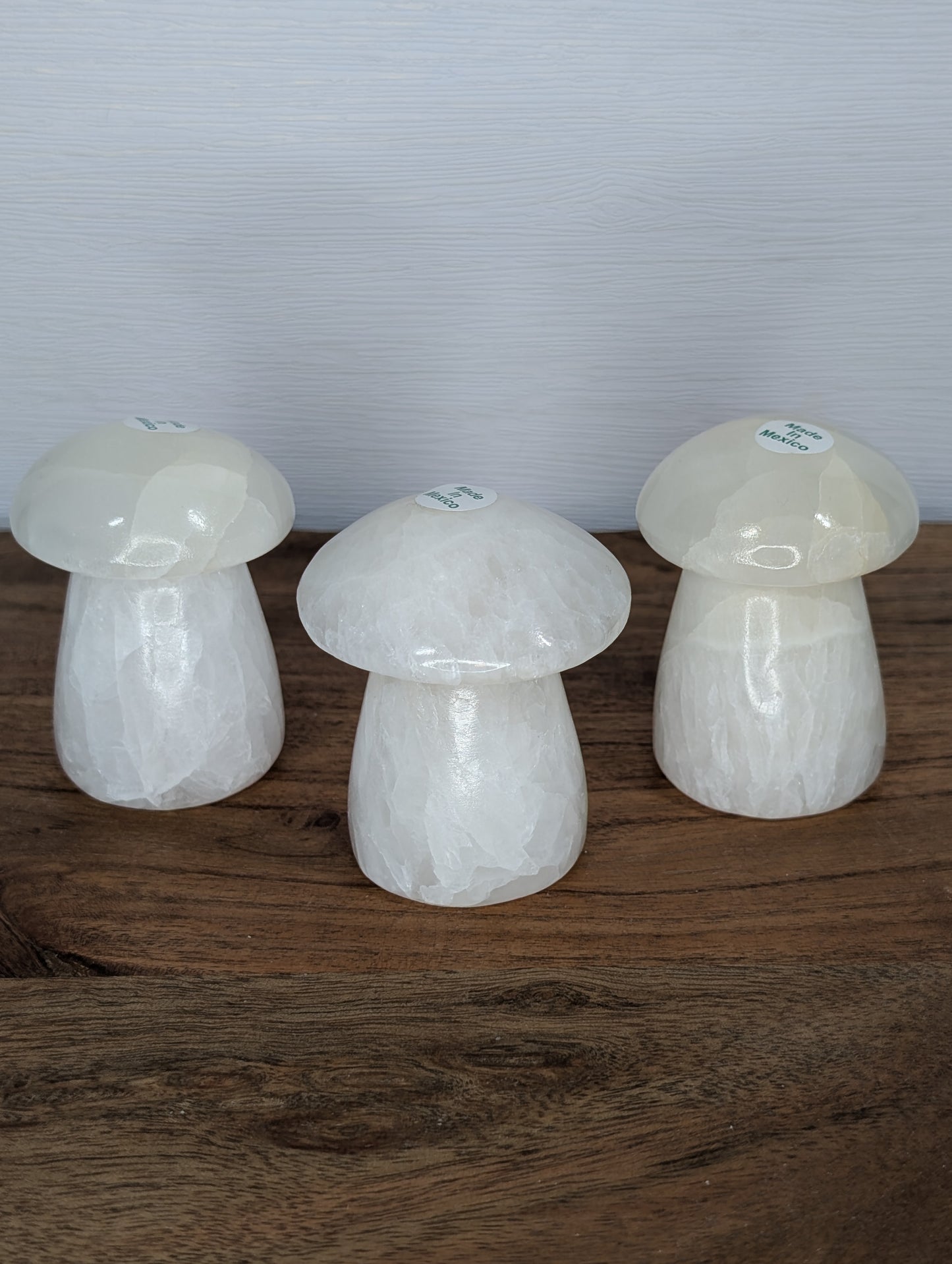 Mexican Onyx/Calcite Mushroom Carving (AJ47)