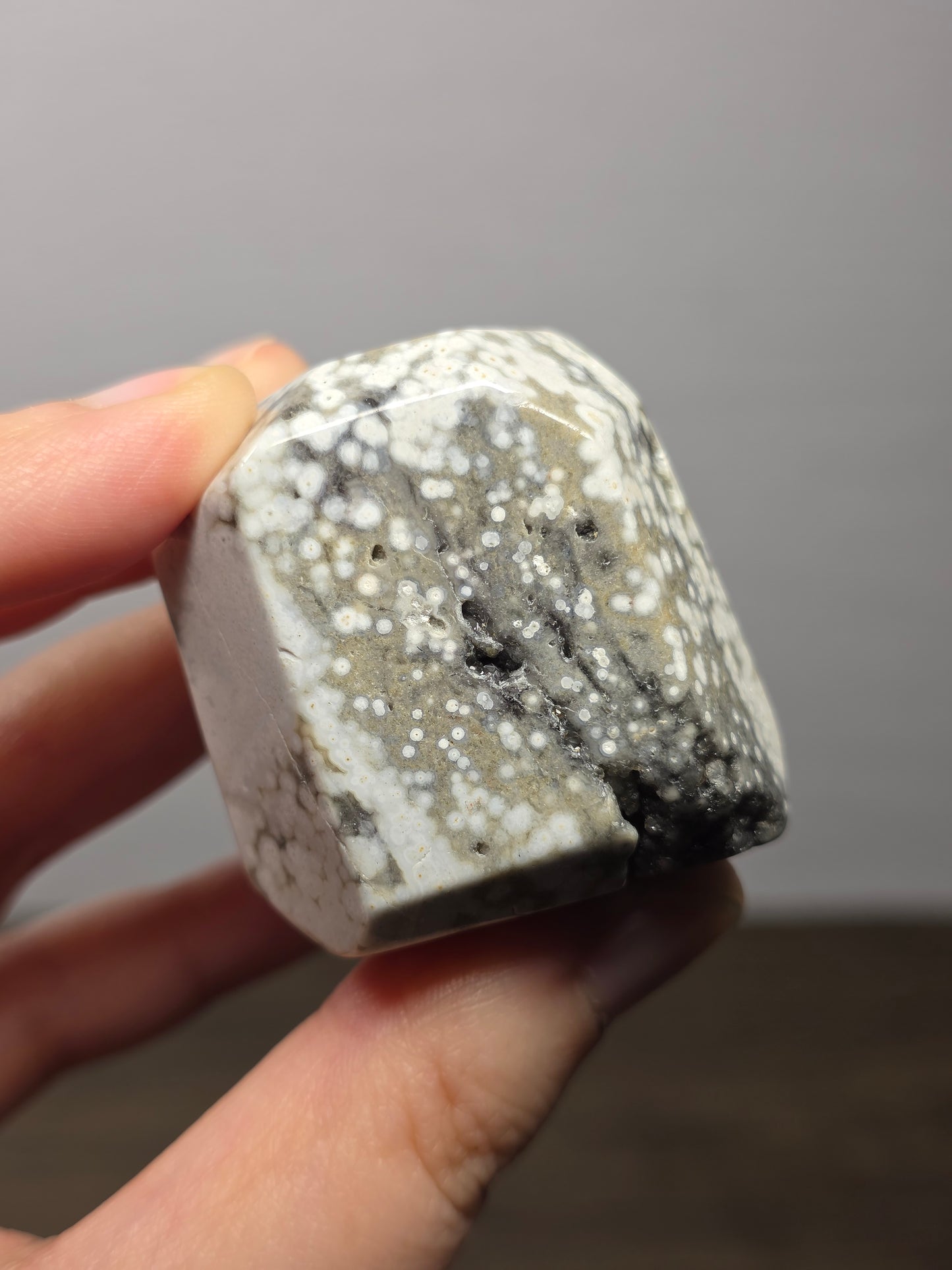 Orbicular Jasper Freeform