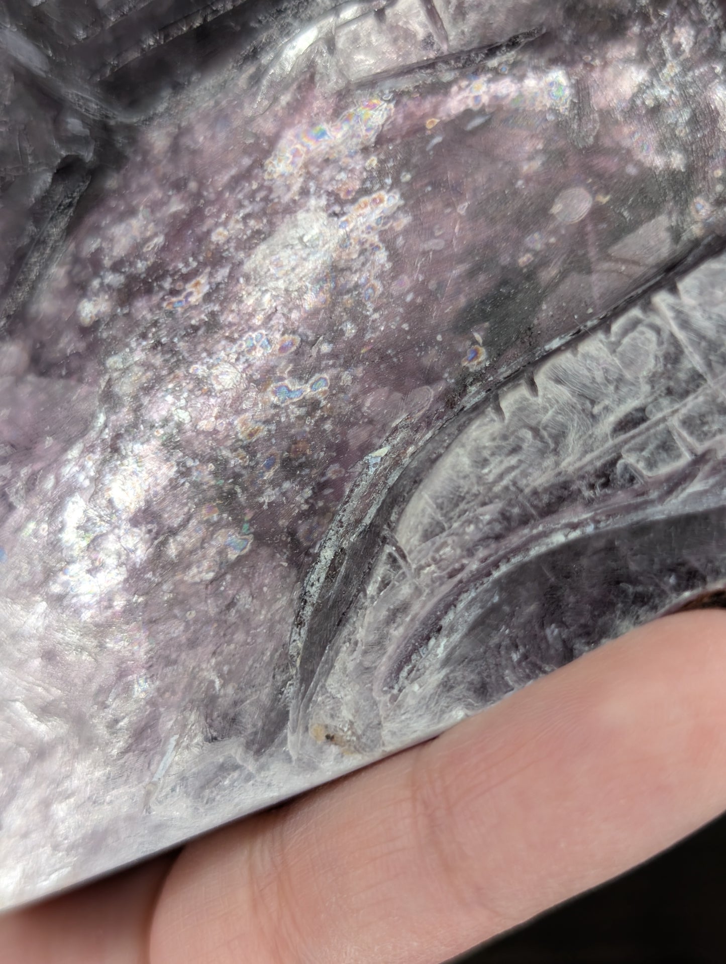 Gem Lepidolite Lizard Carving (BT35)