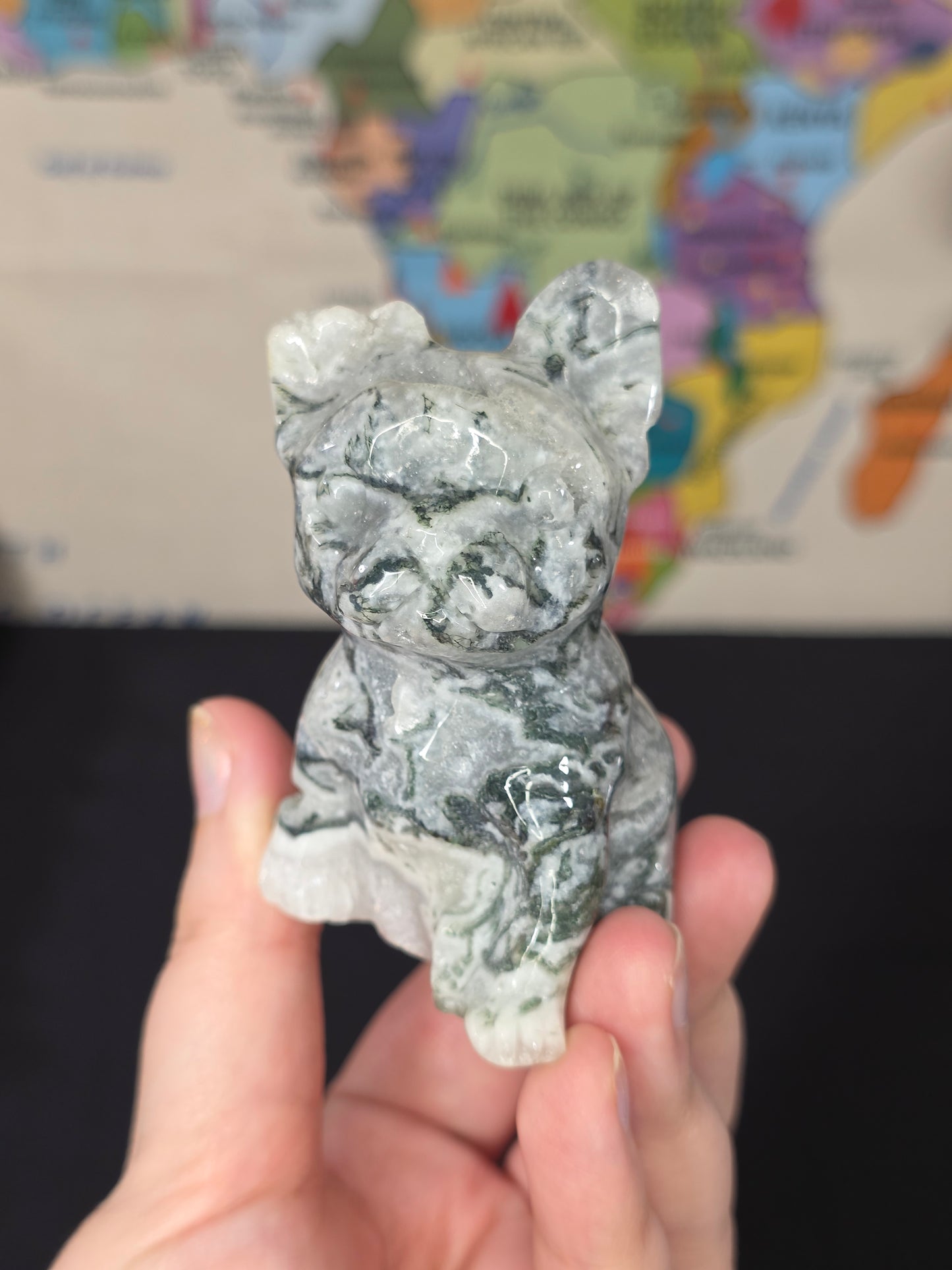 Druzy Moss Agate Frenchie Carving