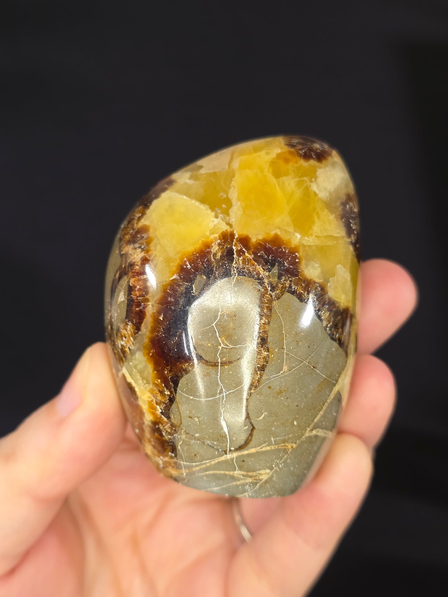 Septarian Freeform