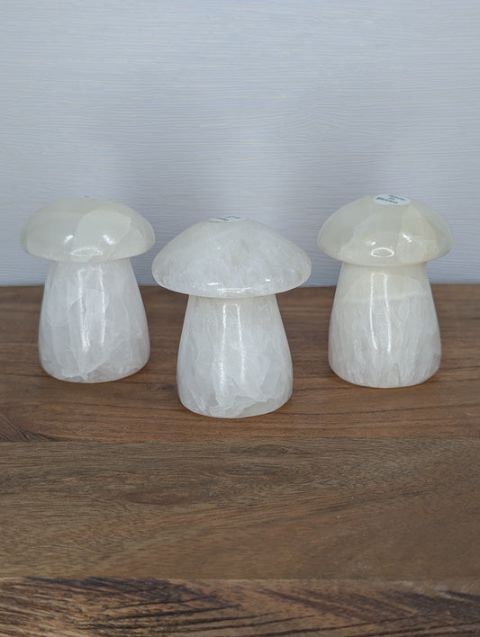 Mexican Onyx/Calcite Mushroom Carving (AJ47)