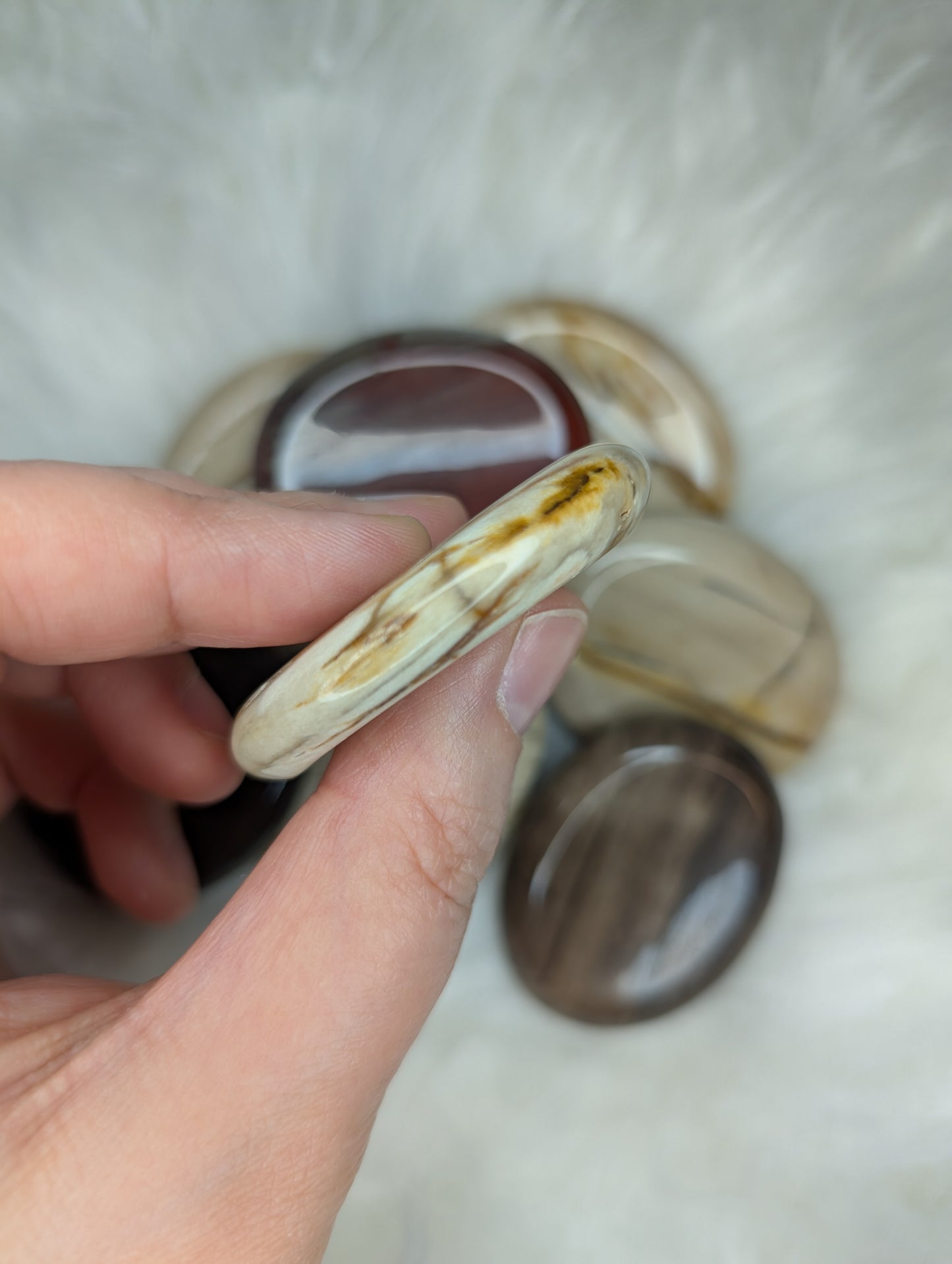 Petrified Wood Worry Stone AR39