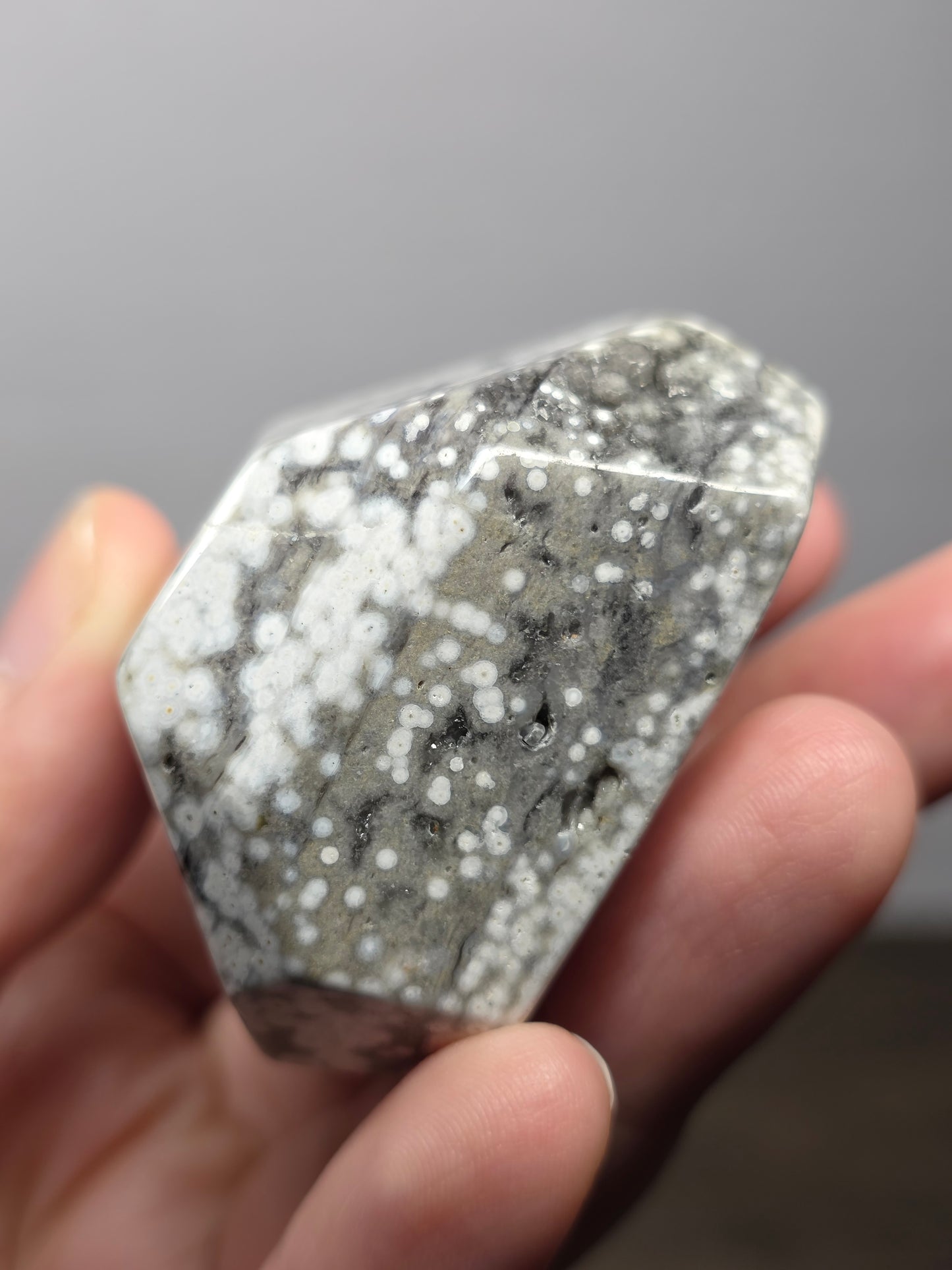 Orbicular Jasper Freeform