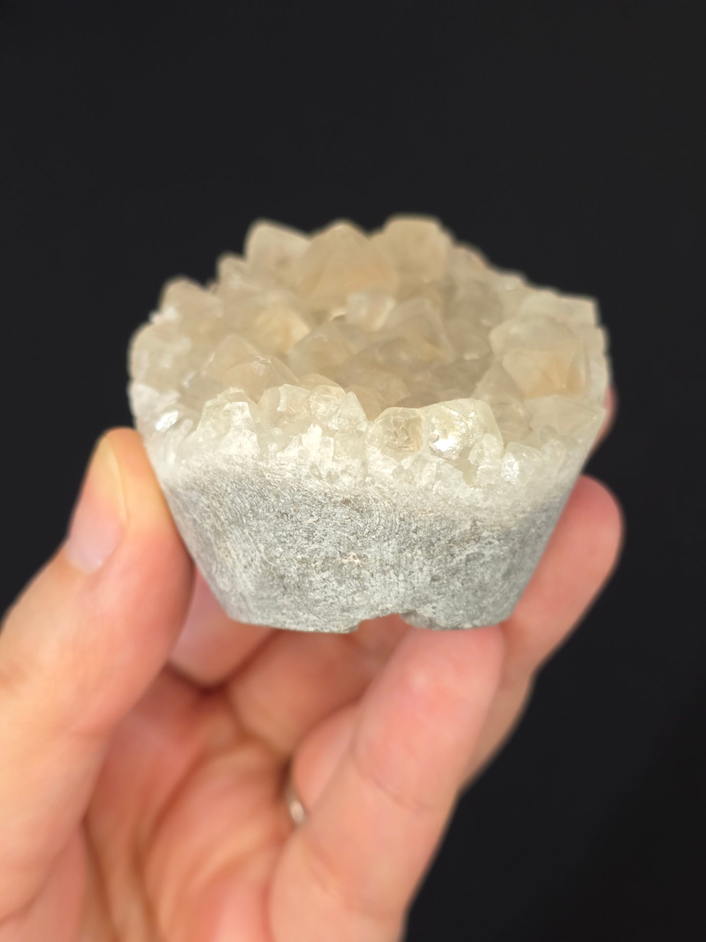 Pet Rock Hedgie Carving