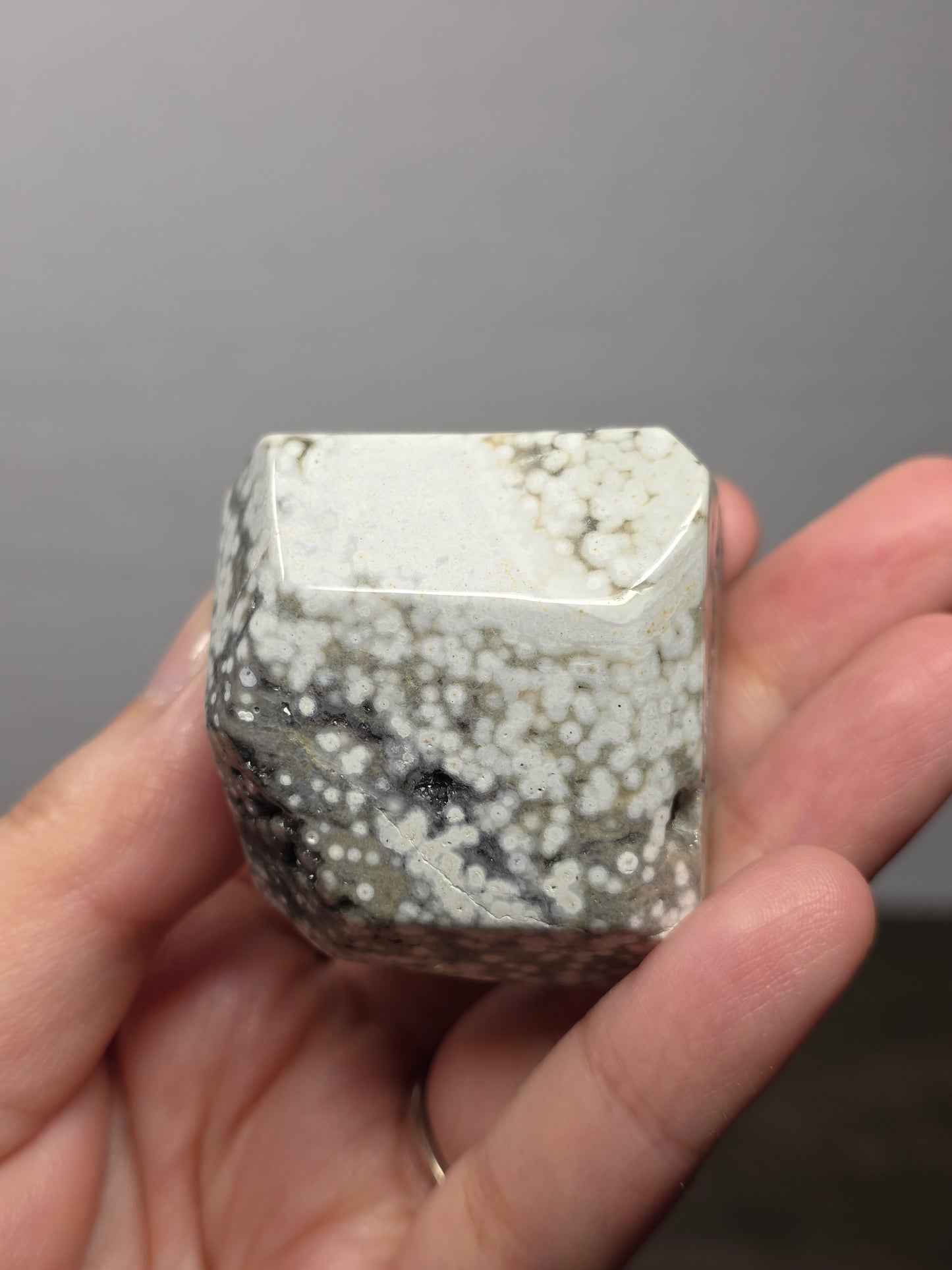Orbicular Jasper Freeform