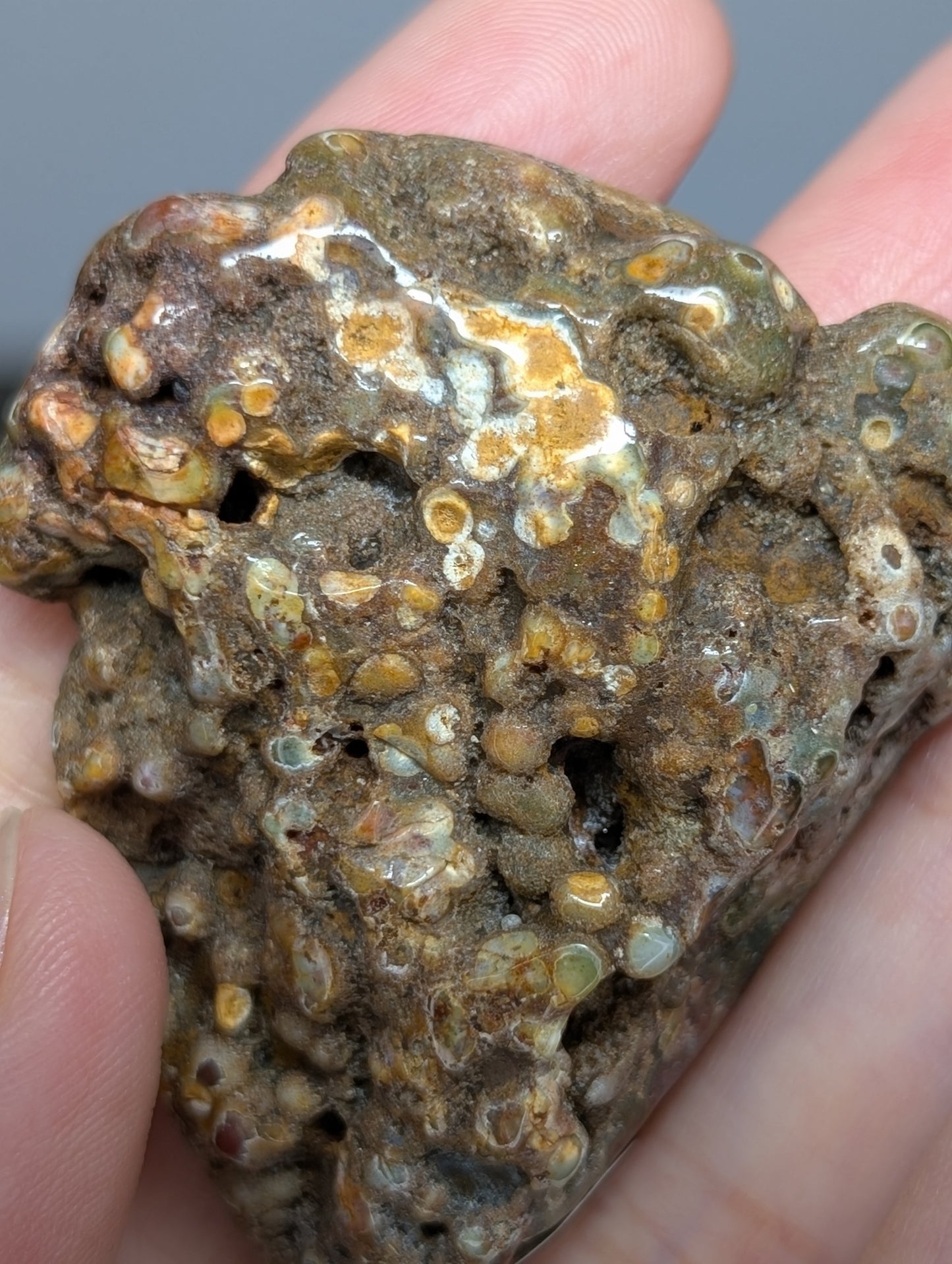 Orbicular Jasper Slab/Freeform