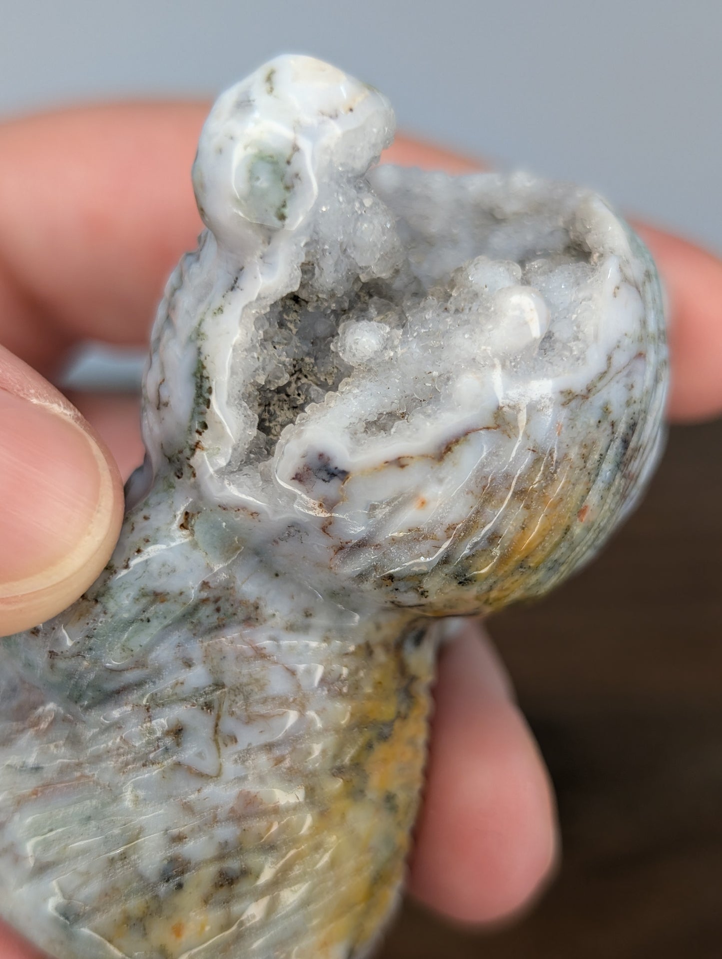 Druzy Sea Jasper Teddy Bear Carving (R18)