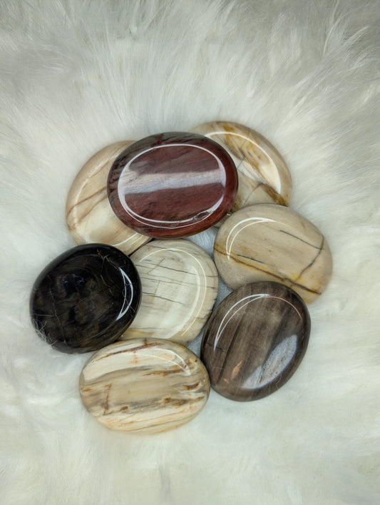 Petrified Wood Worry Stone AR39